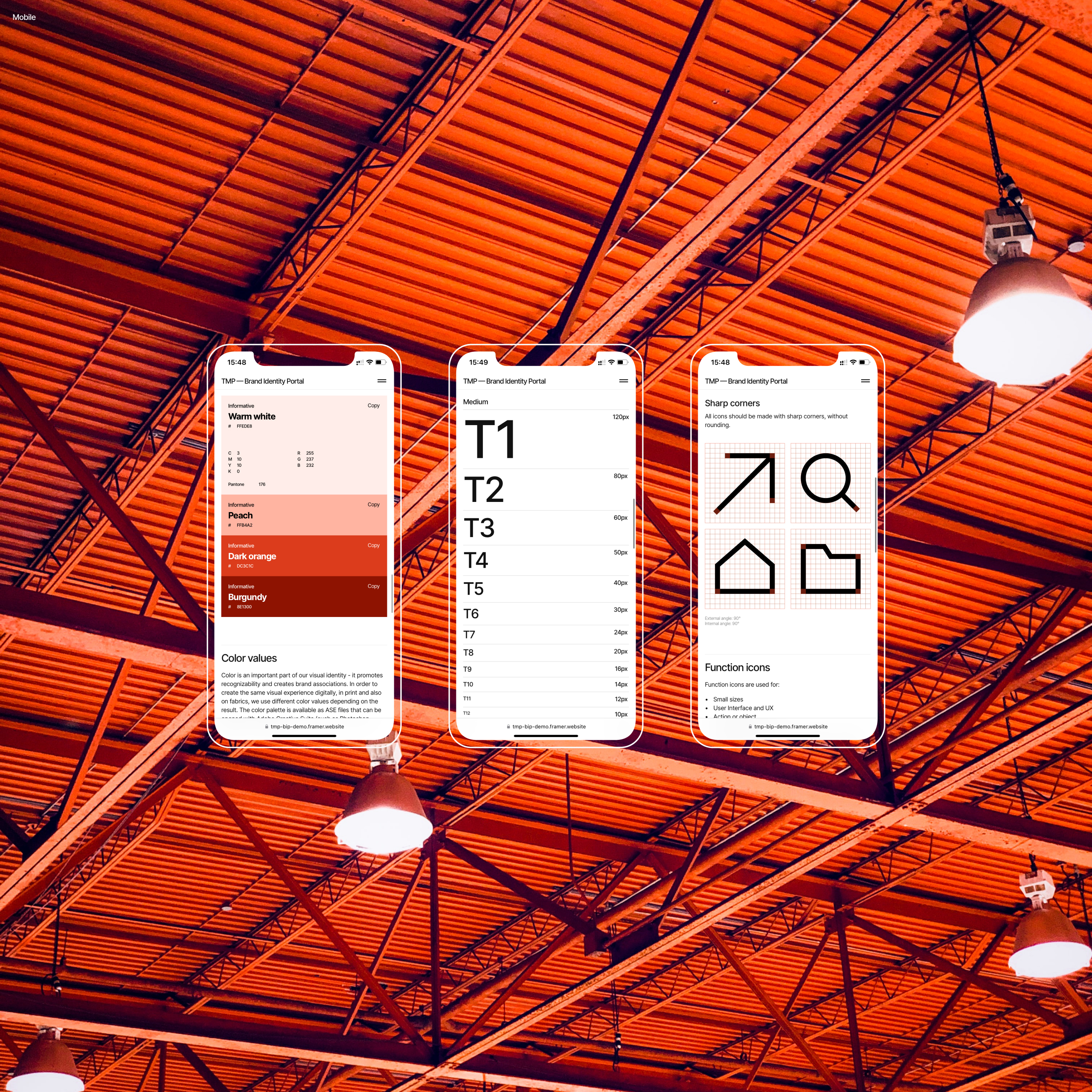 TMP — Brand Identity Portal (Framer Template) — Изображение №6 — Интерфейсы, Брендинг на Dprofile