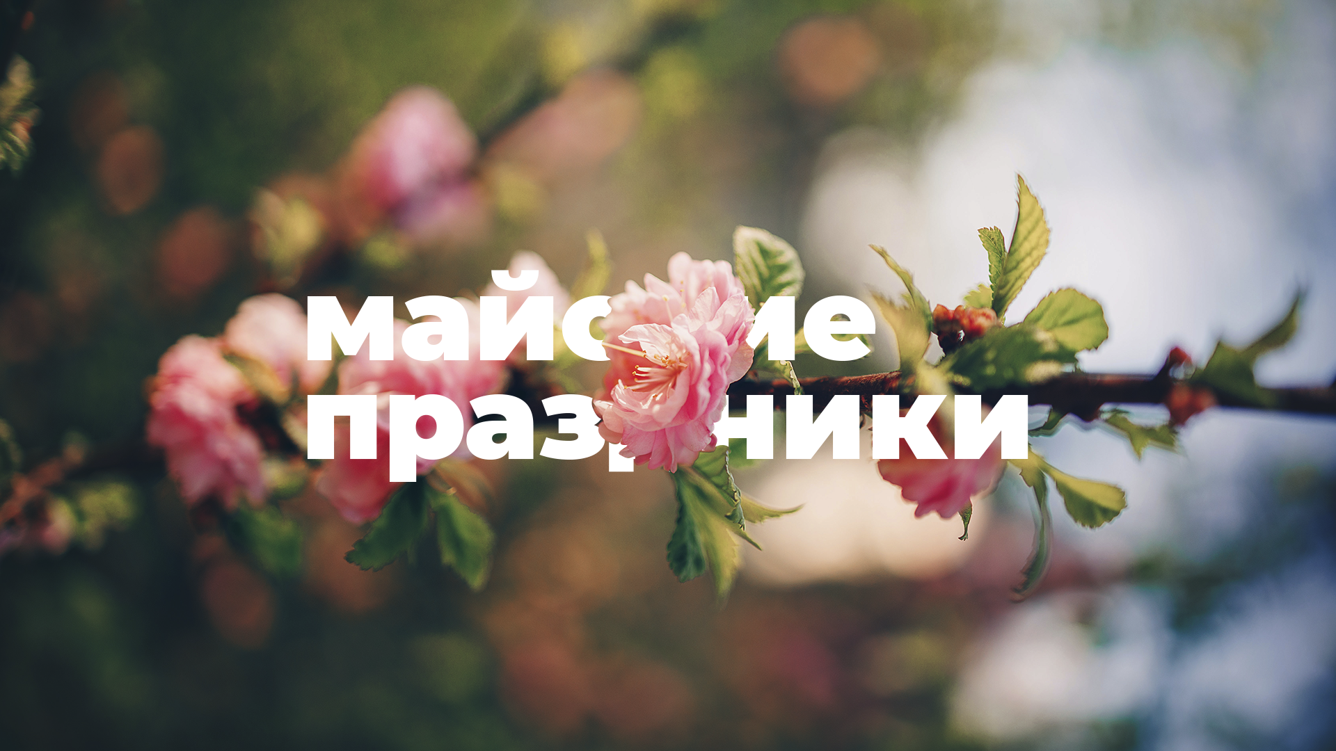 Баннеры для социальных сетей — Изображение №12 — Графика, Маркетинг на Dprofile