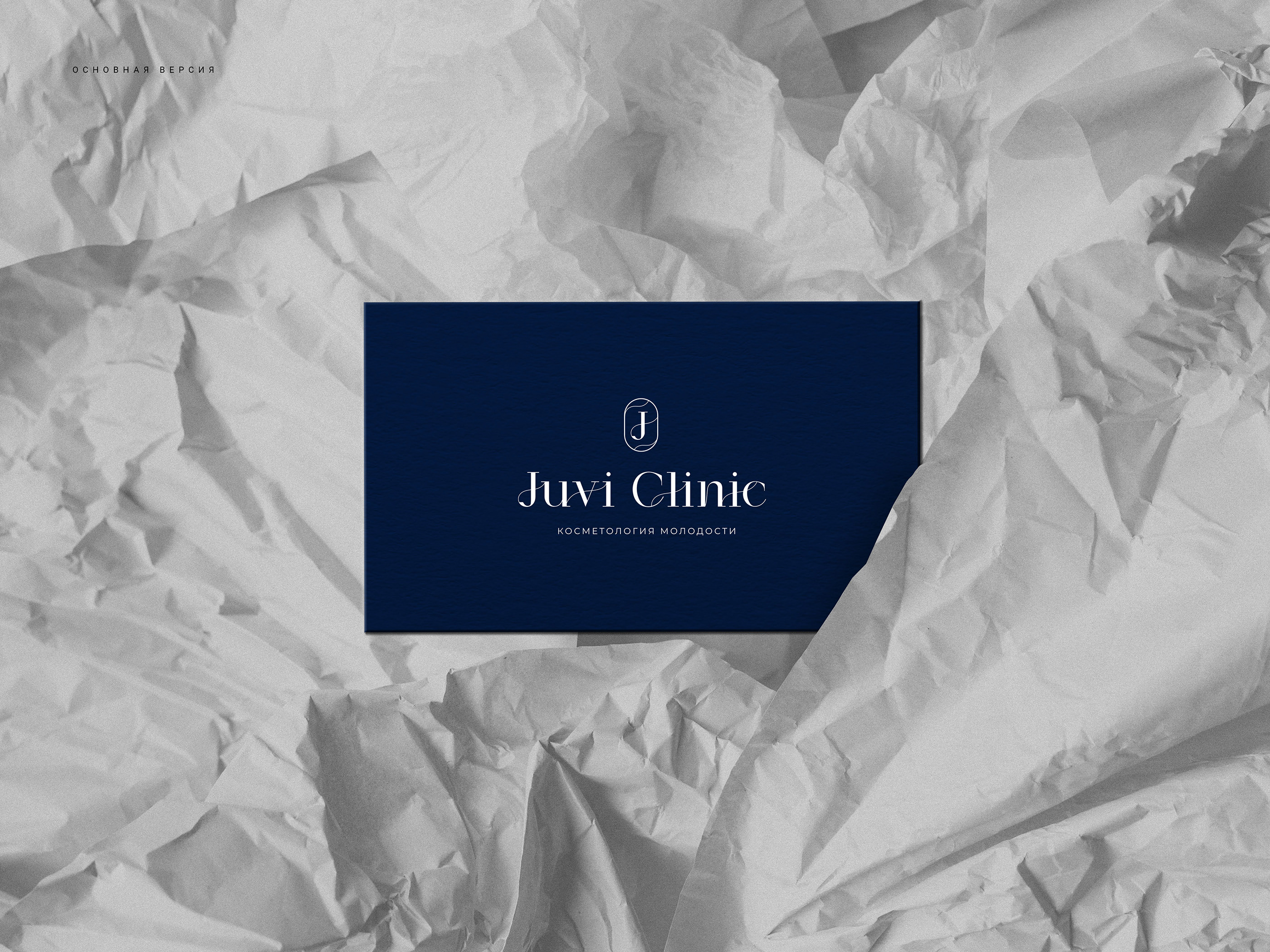 BRAND IDENTITY | LOGOTYPE | ЛОГОТИП | ФИРМЕННЫЙ СТИЛЬ — Изображение №5 — Брендинг на Dprofile