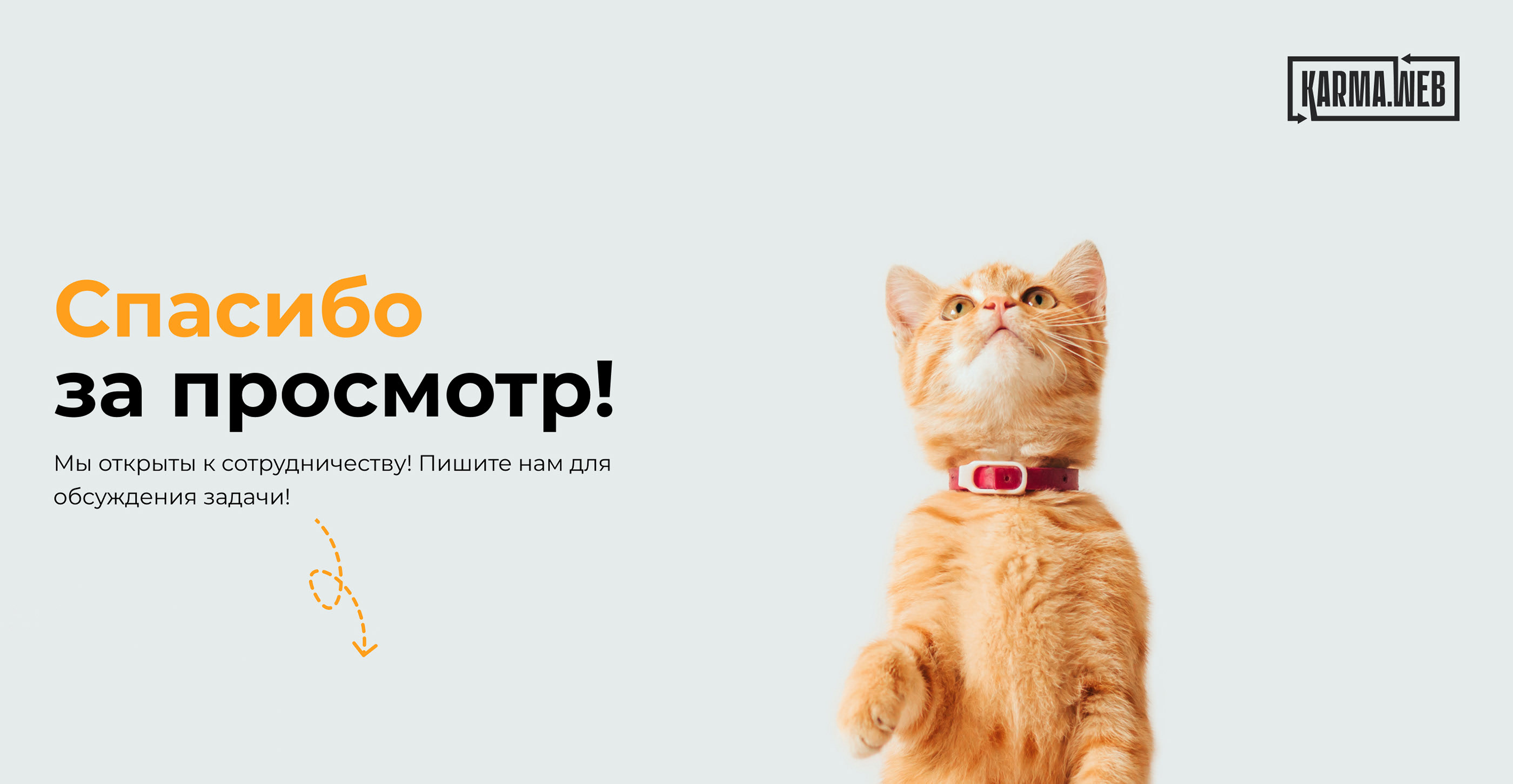 Интернет-магазин товаров для животных Твой Корм — Изображение №14 — Интерфейсы, Брендинг на Dprofile