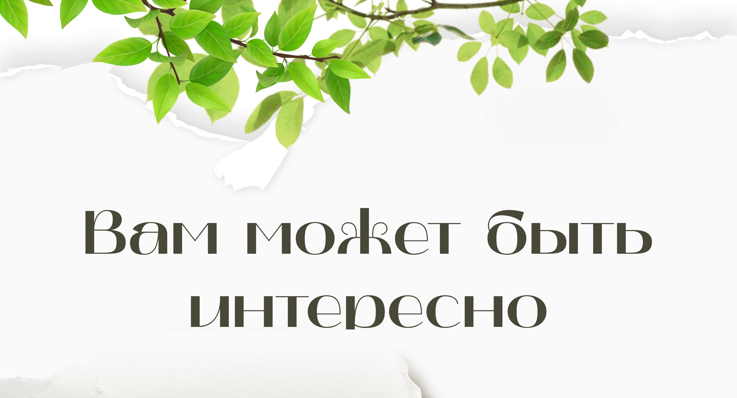 Карточки товаров для маркетплейсов. Конкурс «Лукоморье». — Изображение №21 — Брендинг, Маркетинг на Dprofile