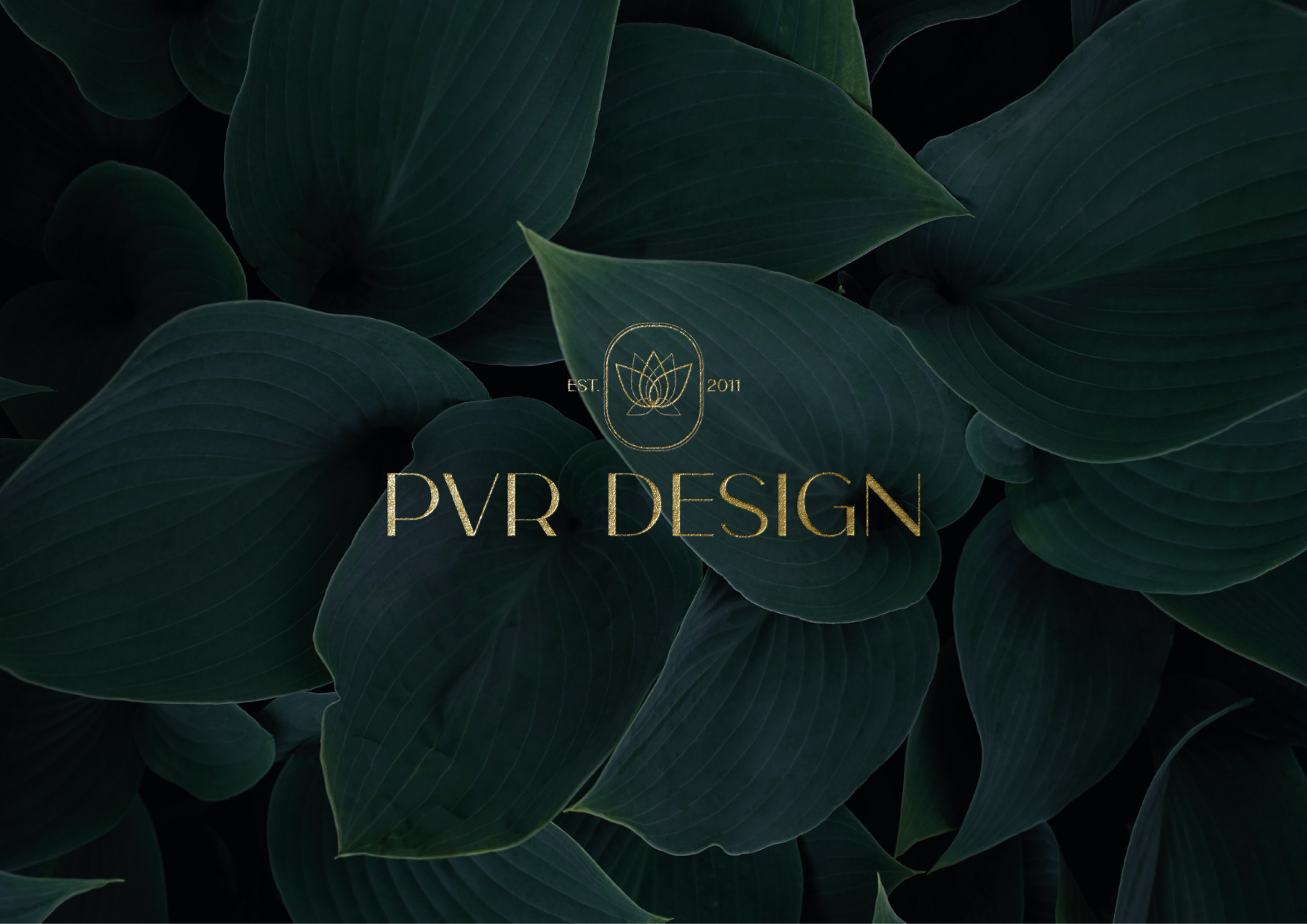 PVR фирменный стиль для студии ландшафтного дизайна — Изображение №1 — Брендинг на Dprofile