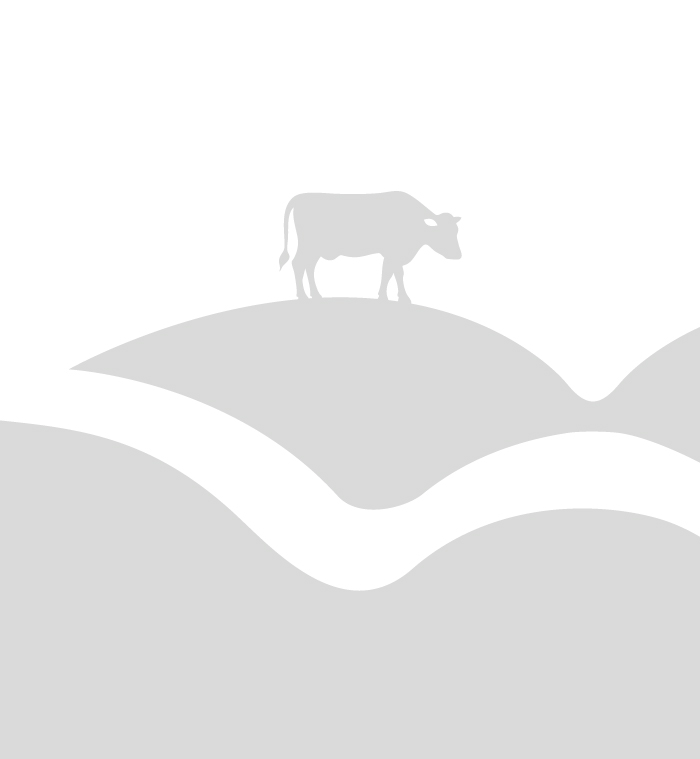 Dairy products design | Упаковка молочной продукции — Изображение №7 — Брендинг на Dprofile