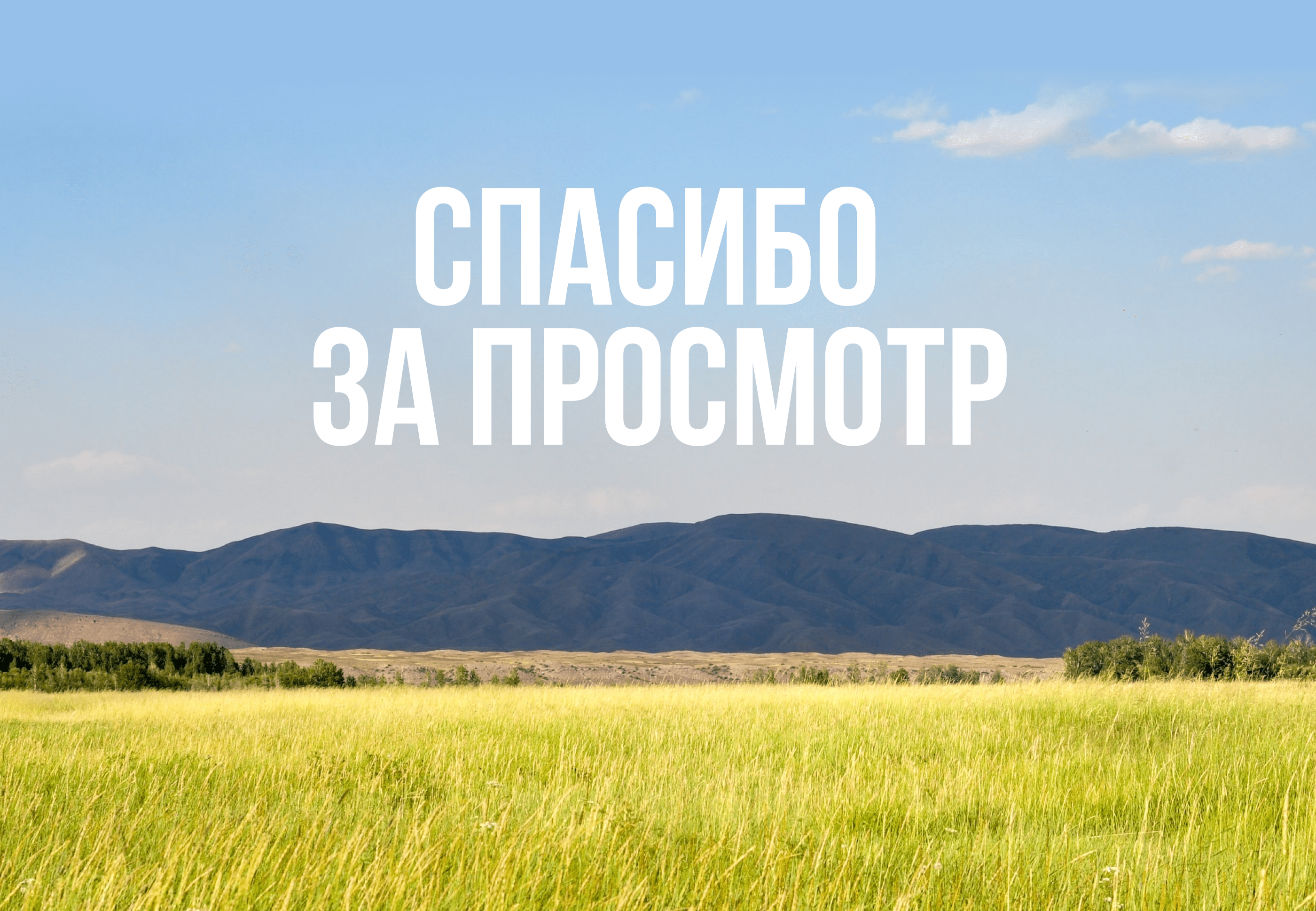 Travel agency website design | ux/ui — Изображение №24 — Интерфейсы, Брендинг на Dprofile