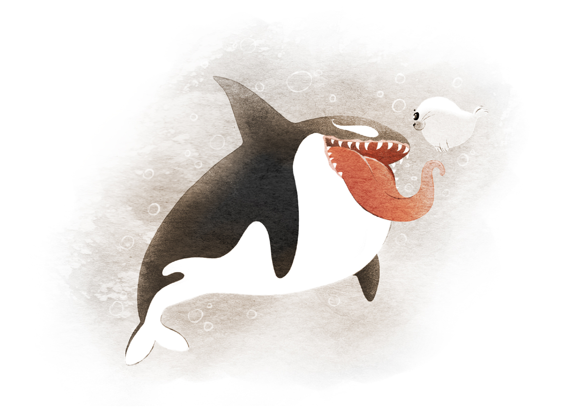 Тюлени — Изображение №3 — Иллюстрация на Dprofile