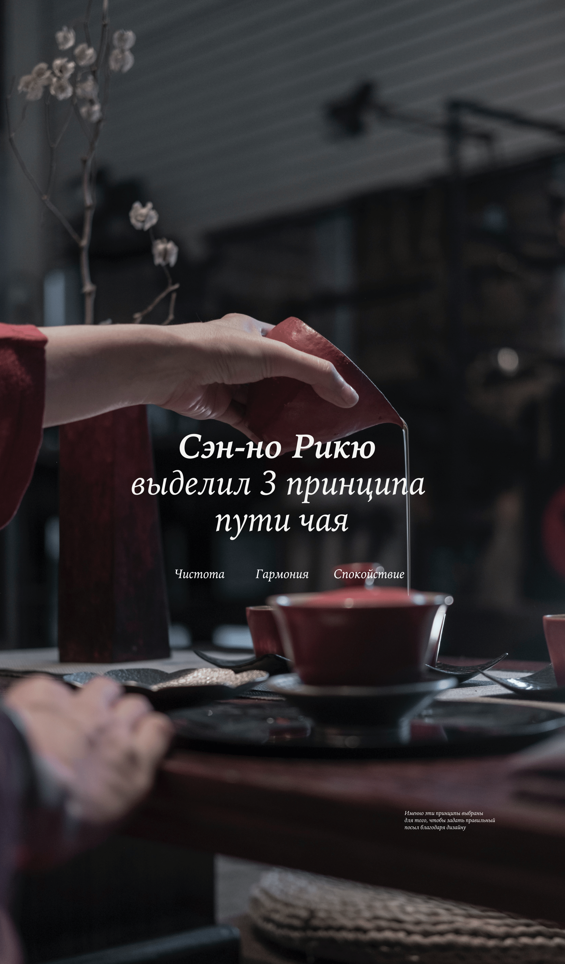 Брендинг японского чая Will Definitely — Изображение №2 — Брендинг, Графика на Dprofile