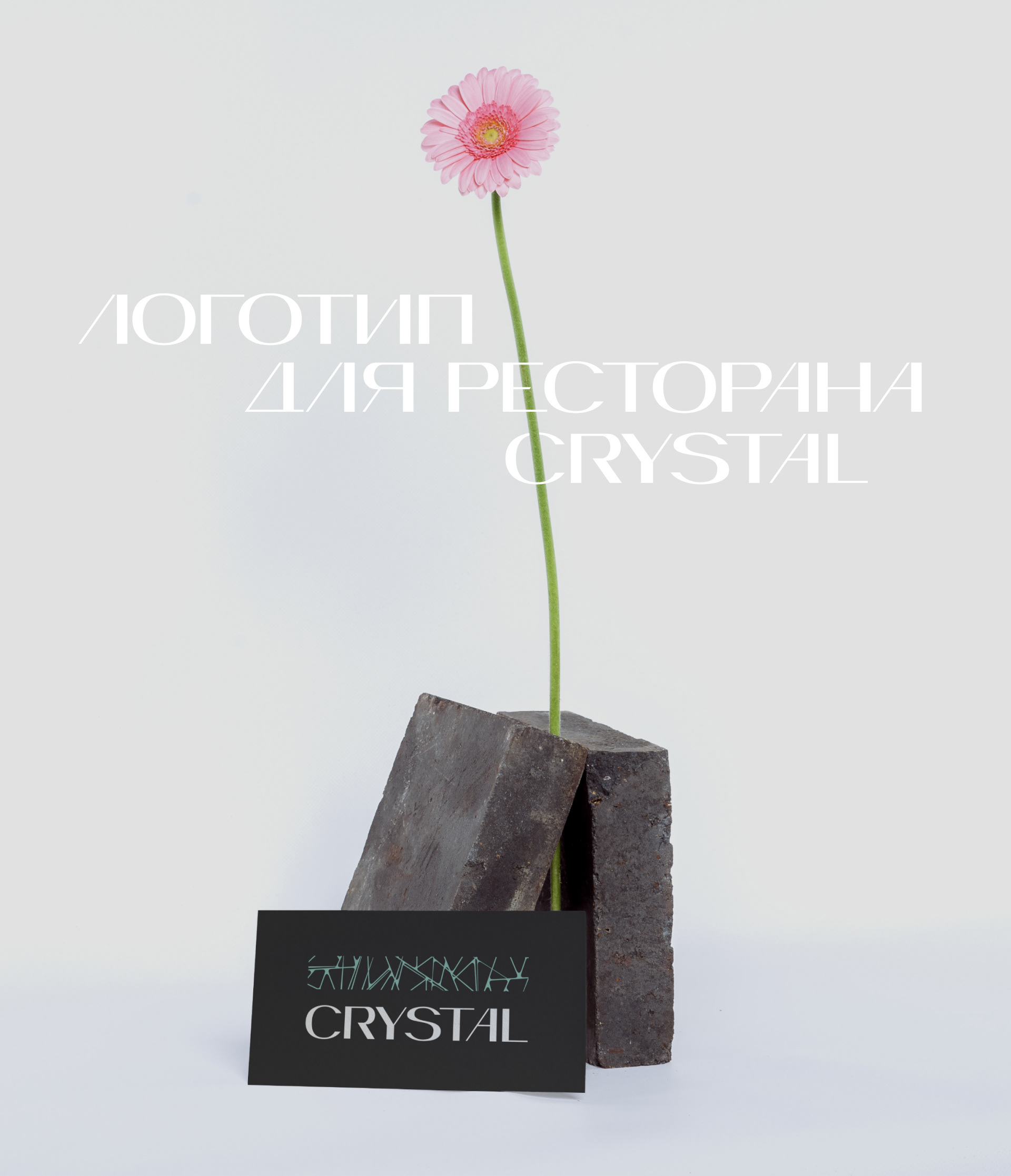 Логотип для ресторана Crystal — Изображение №1 — Брендинг, Графика на Dprofile