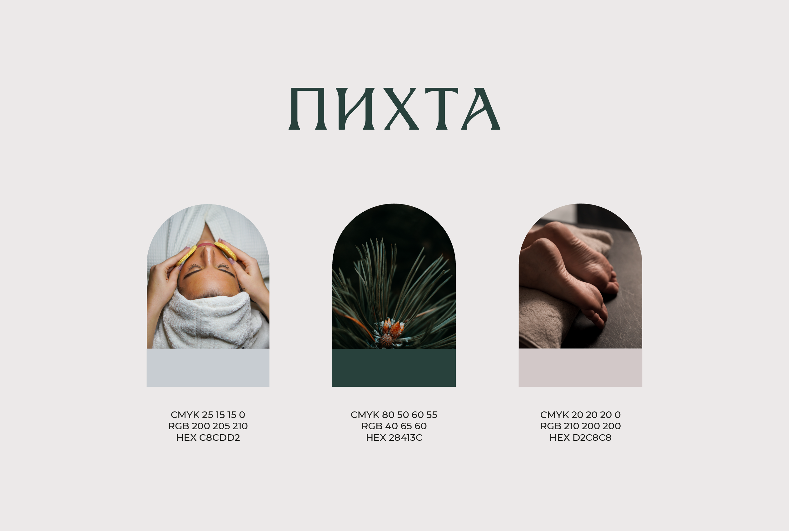 Логотип ПИХТА. Забота о теле. Студия массажа — Изображение №4 — Брендинг, Графика на Dprofile