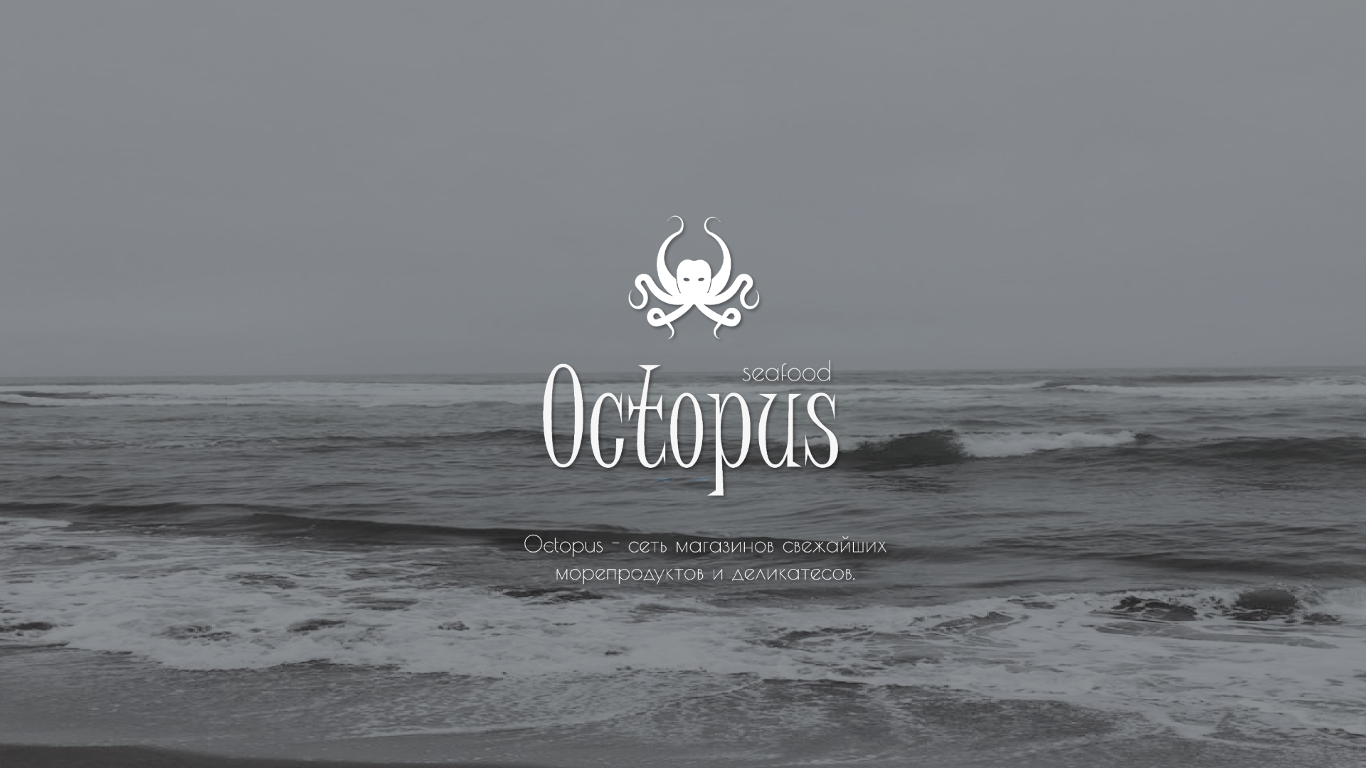 Octopus магазин морепродуктов — Изображение №1 — Брендинг, Иллюстрация на Dprofile