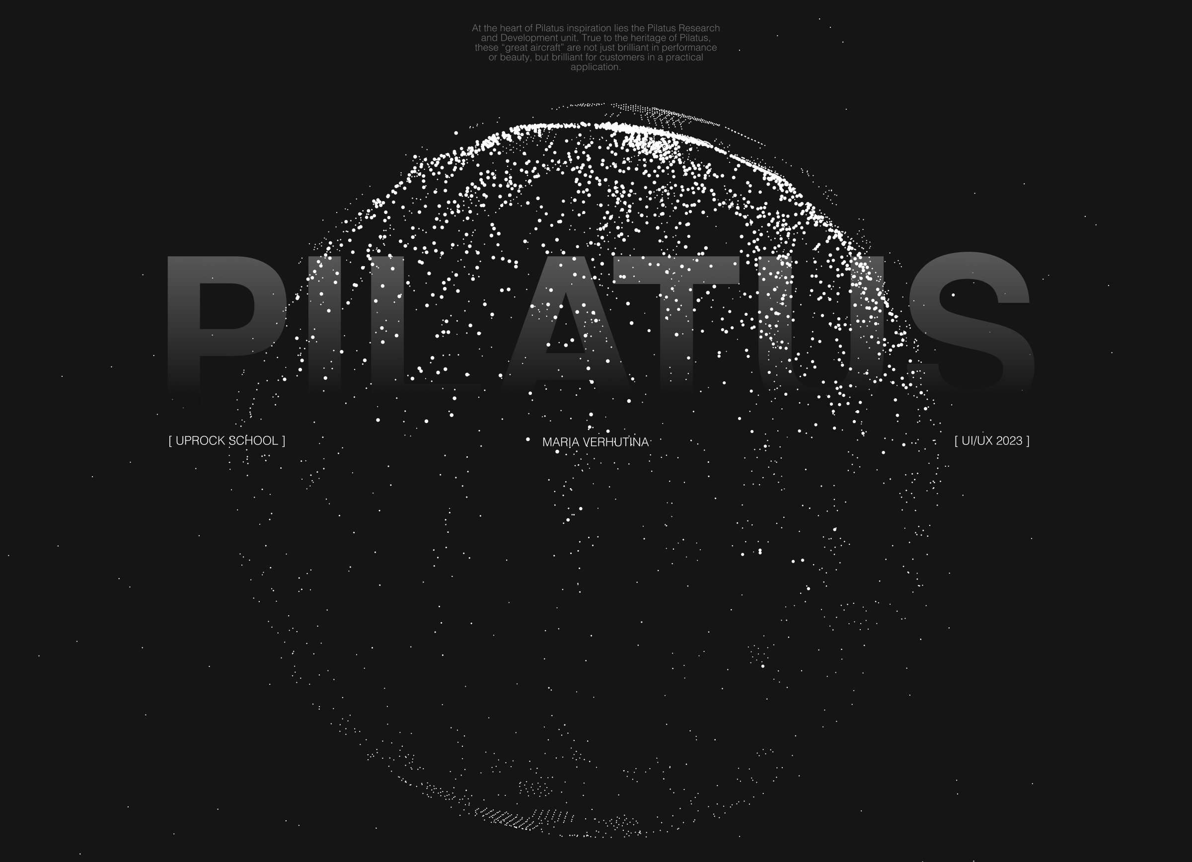PILATUS AIRCRAFT E-commerce Redesign — Изображение №1 — Интерфейсы, Графика на Dprofile