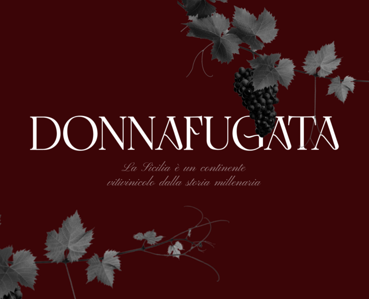 DONNAFUGATA E-commerce Redesign — Интерфейсы, Брендинг на Dprofile