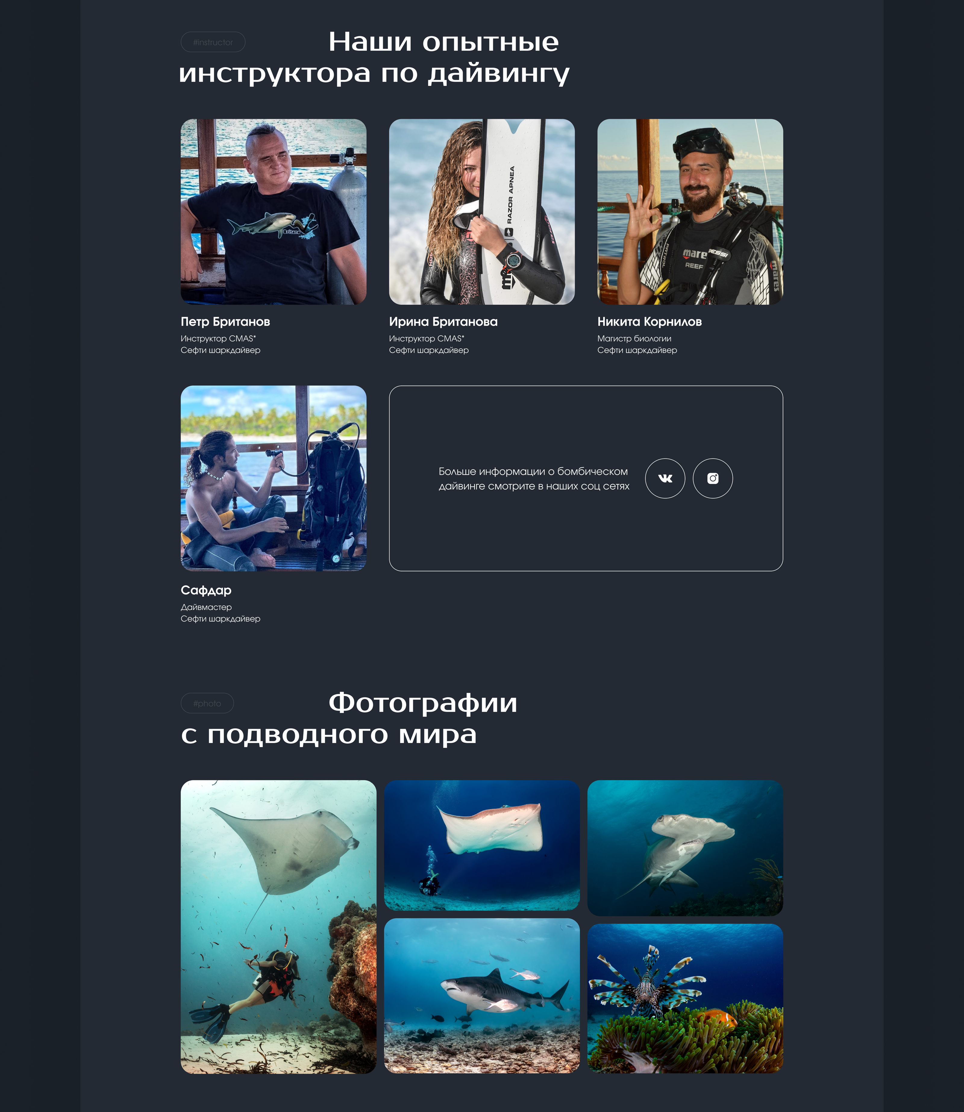 Сайт для дайвинг центра | Site for diving center — Изображение №8 — Брендинг, Маркетинг на Dprofile