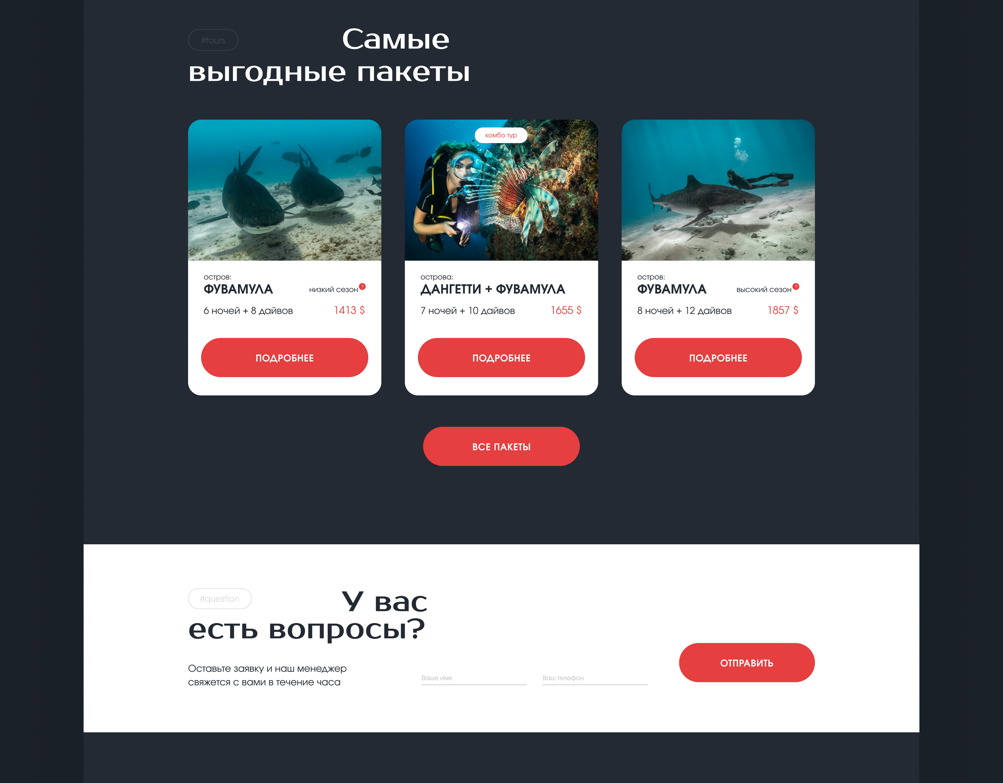 Сайт для дайвинг центра | Site for diving center — Изображение №7 — Брендинг, Маркетинг на Dprofile