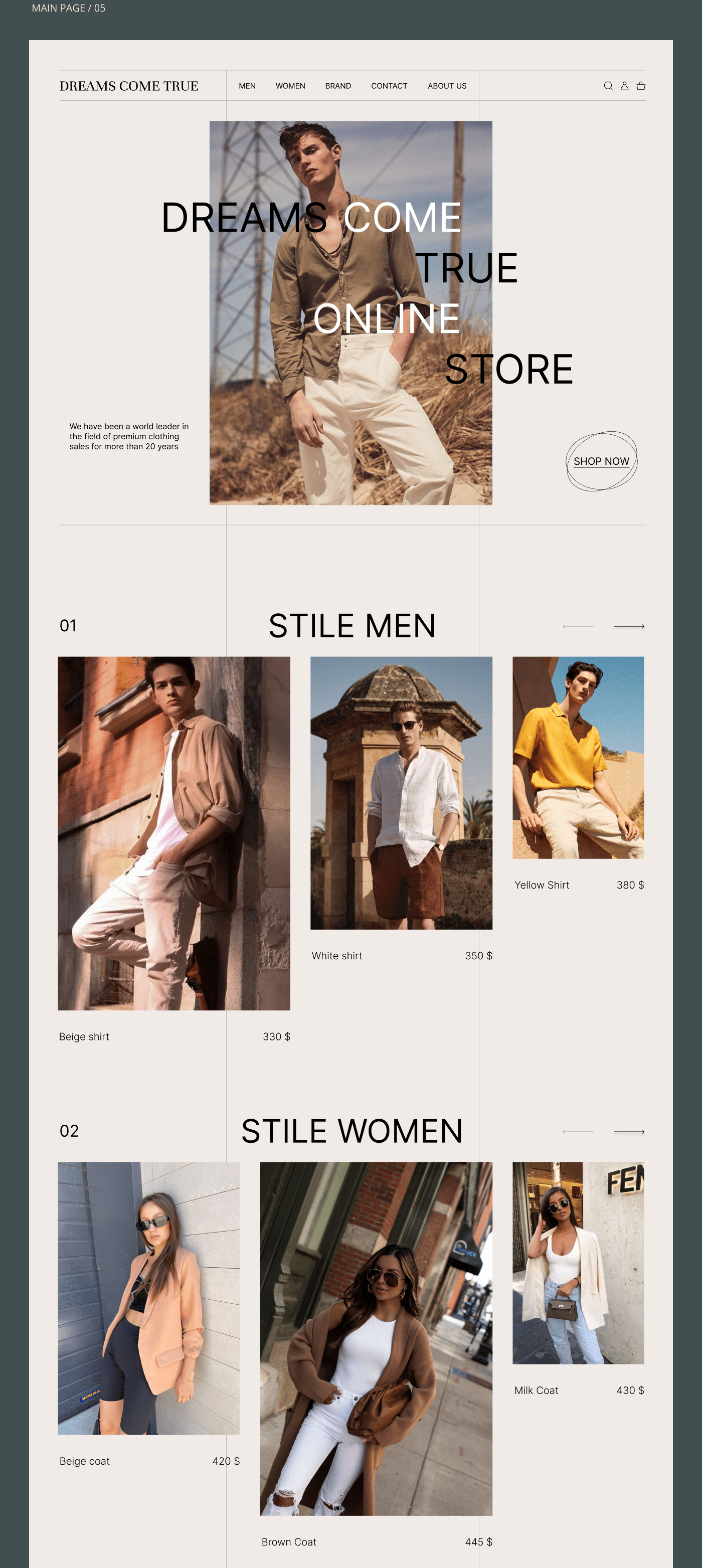 DREAM COME TRUE design concept — Изображение №3 — Интерфейсы, Брендинг на Dprofile