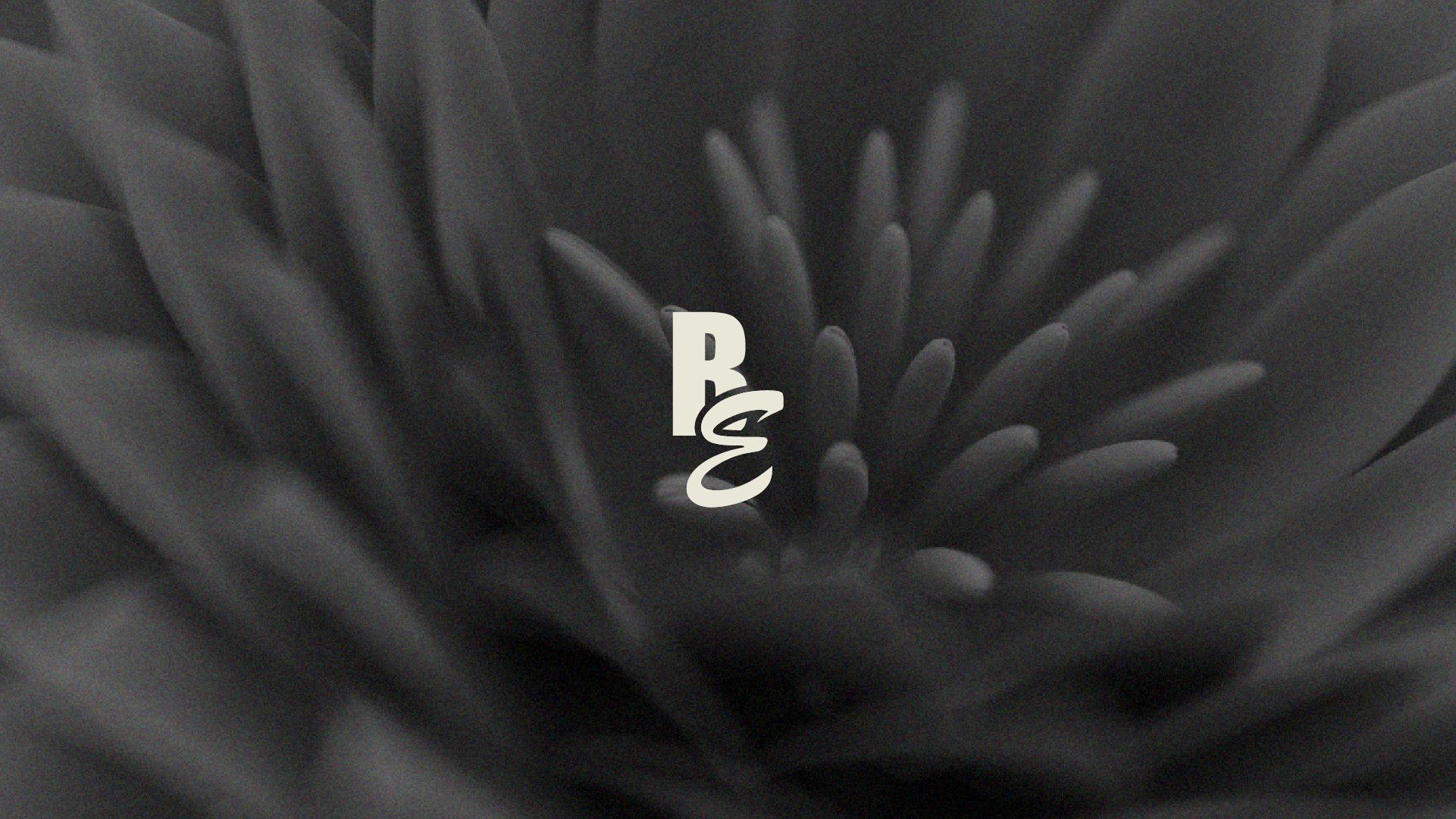 BEYOND925 | BRAND IDENTITY for WOMEN C — Изображение №7 — Брендинг на Dprofile