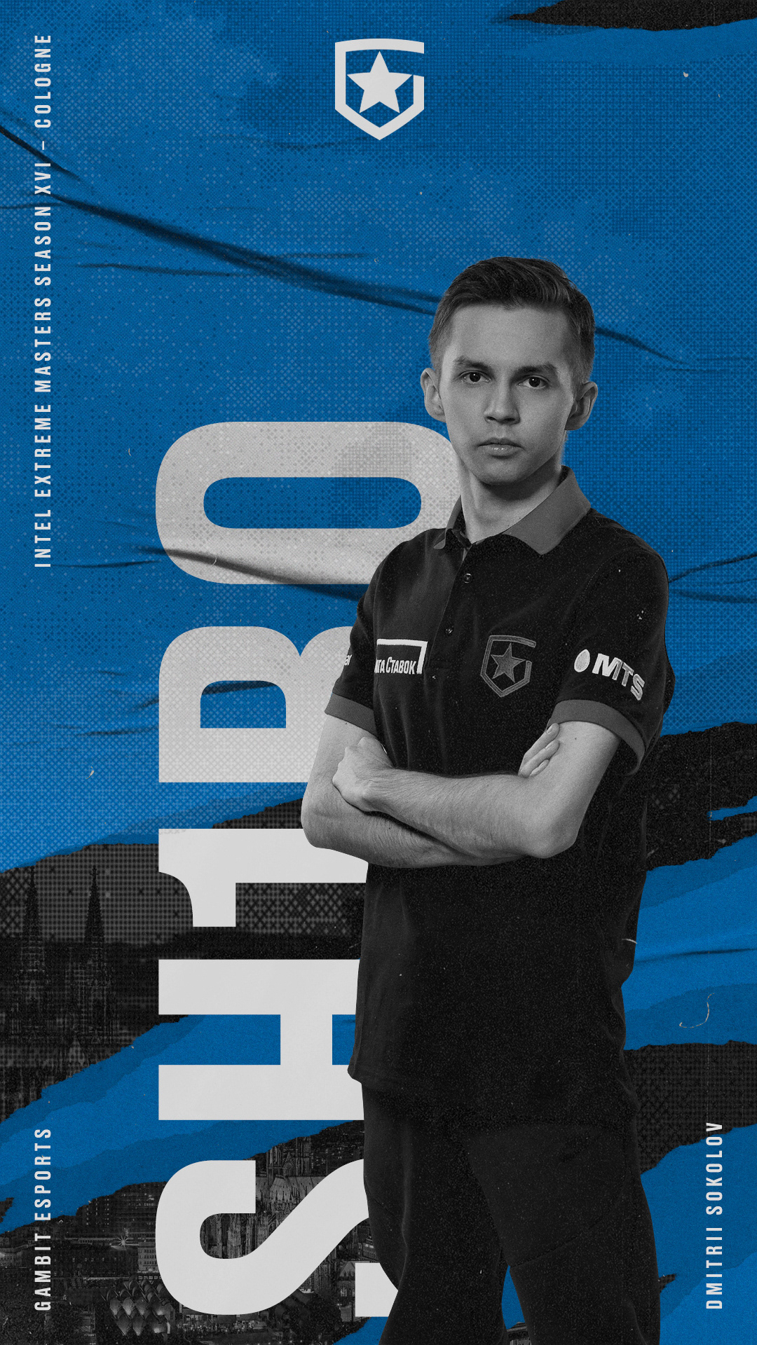Gambit Esports Graphics 2021 Full Package — Изображение №122 — Графика, Маркетинг на Dprofile