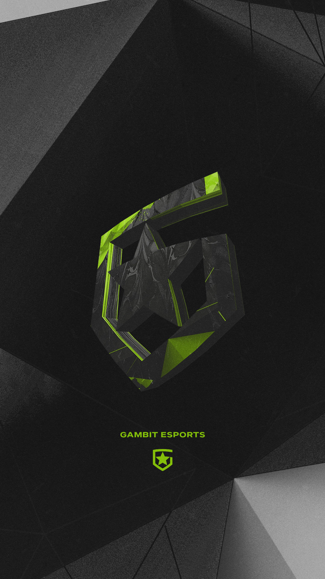Gambit Esports Graphics 2021 Full Package — Изображение №129 — Графика, Маркетинг на Dprofile