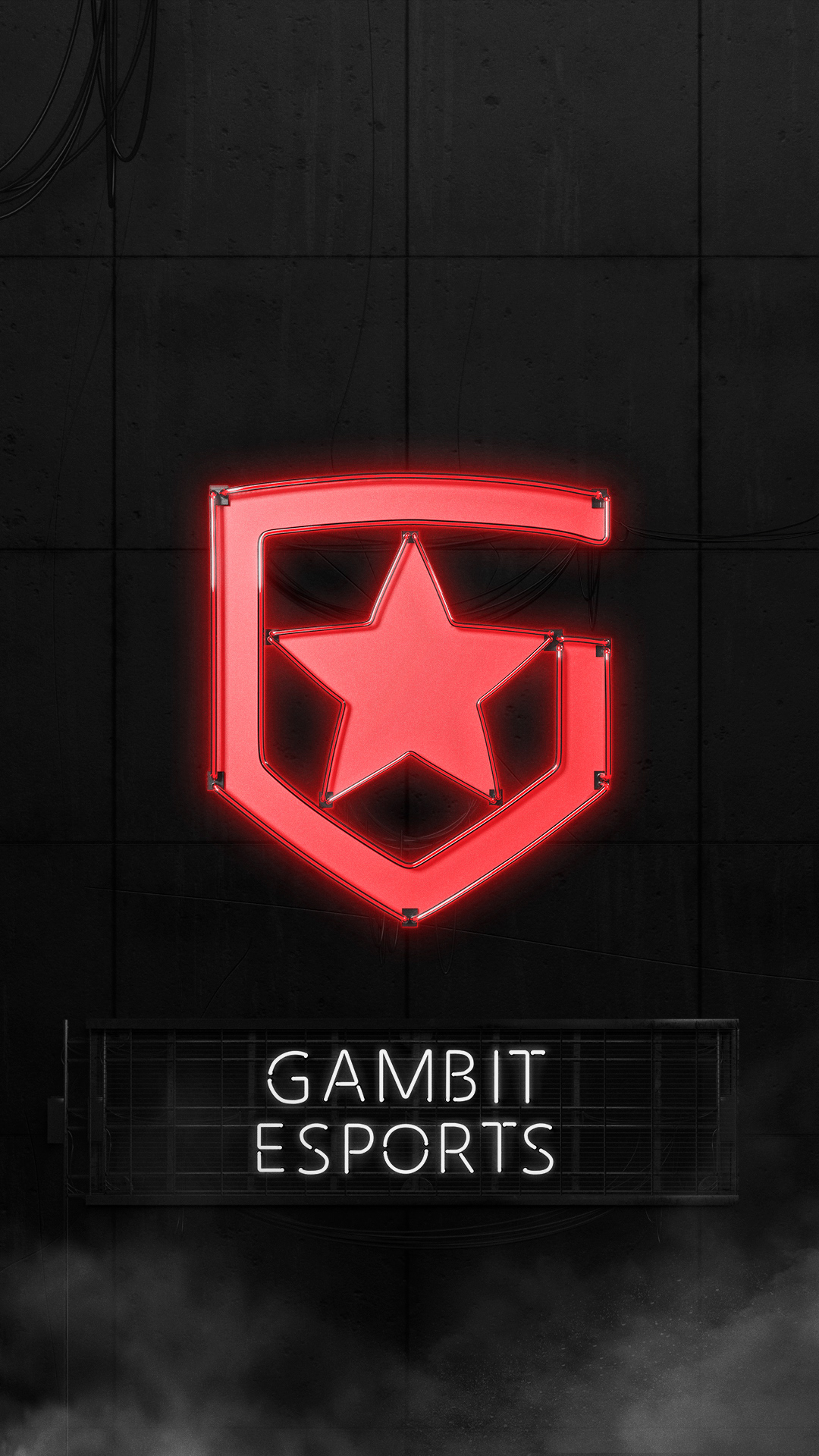 Gambit Esports Graphics 2021 Full Package — Изображение №132 — Графика, Маркетинг на Dprofile