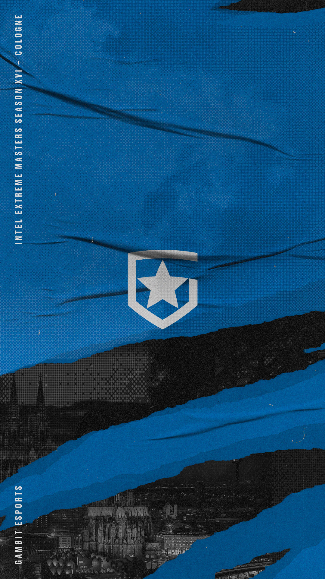 Gambit Esports Graphics 2021 Full Package — Изображение №137 — Графика, Маркетинг на Dprofile