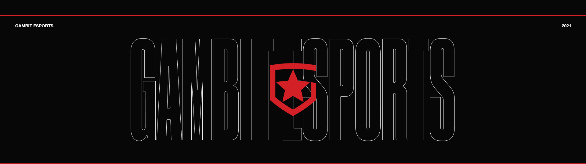 Gambit Esports Graphics 2021 Full Package — Изображение №1 — Графика, Маркетинг на Dprofile