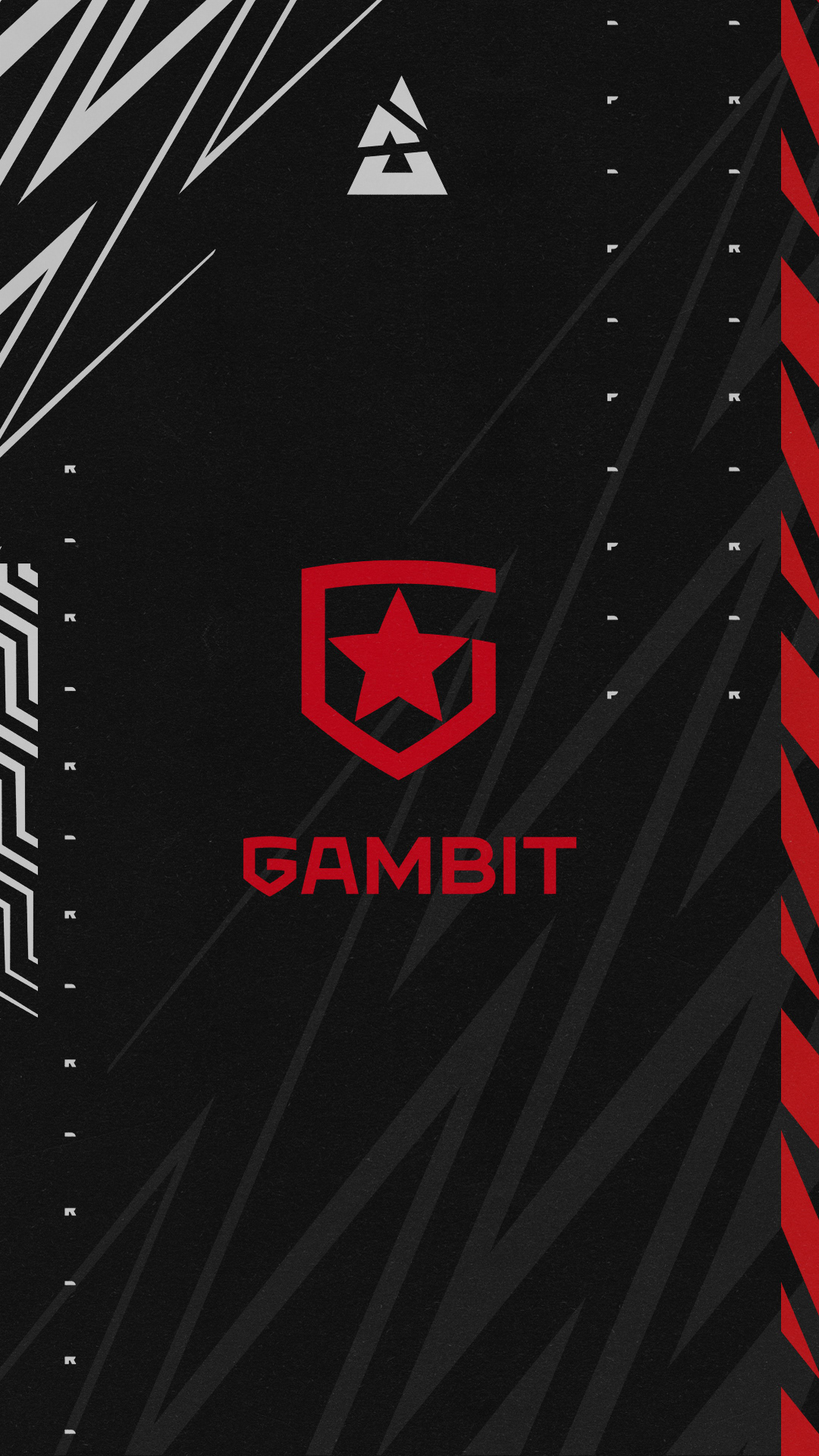 Gambit Esports Graphics 2021 Full Package — Изображение №147 — Графика, Маркетинг на Dprofile