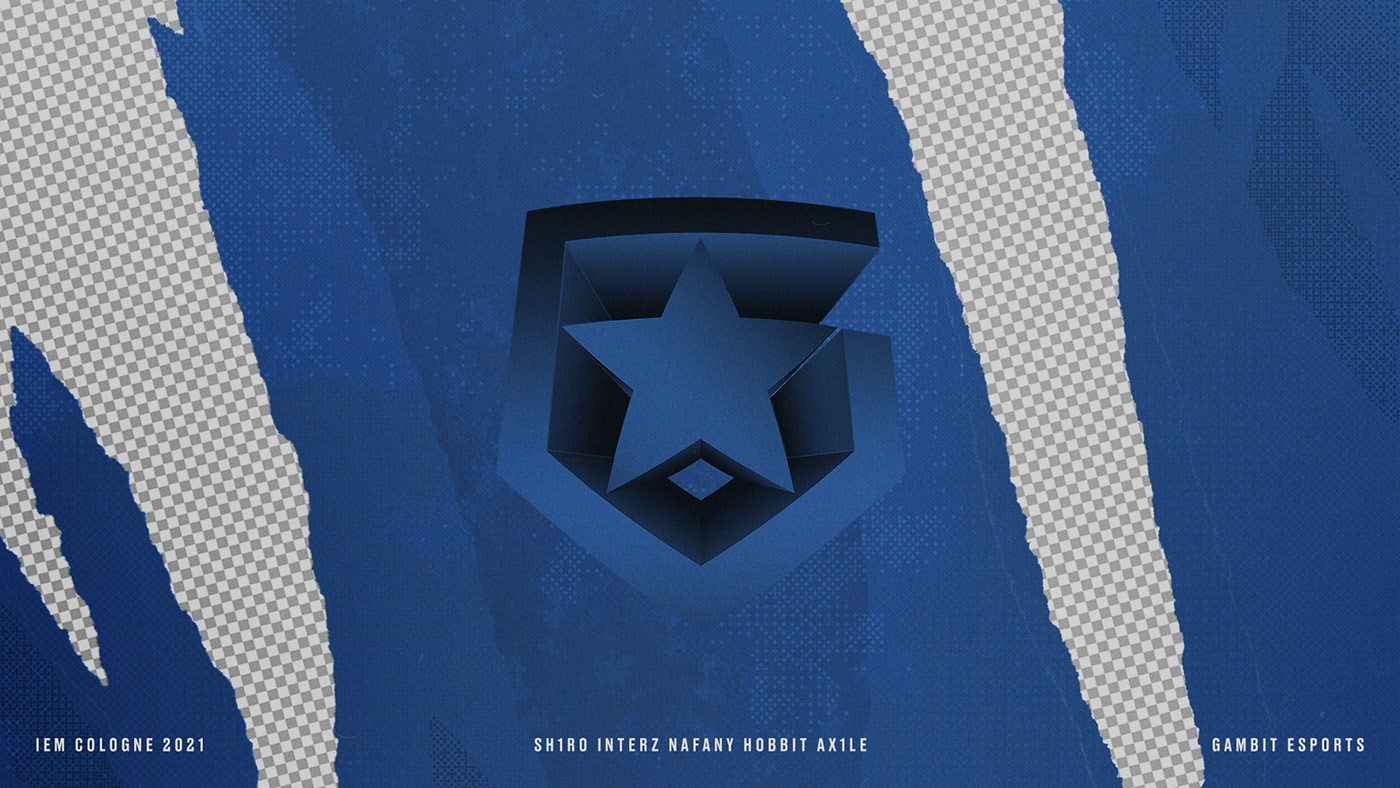 Gambit Esports Graphics 2021 Full Package — Изображение №176 — Графика, Маркетинг на Dprofile