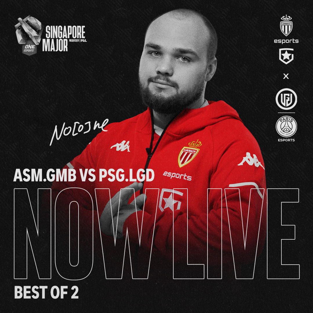 Gambit Esports Graphics 2021 Full Package — Изображение №47 — Графика, Маркетинг на Dprofile