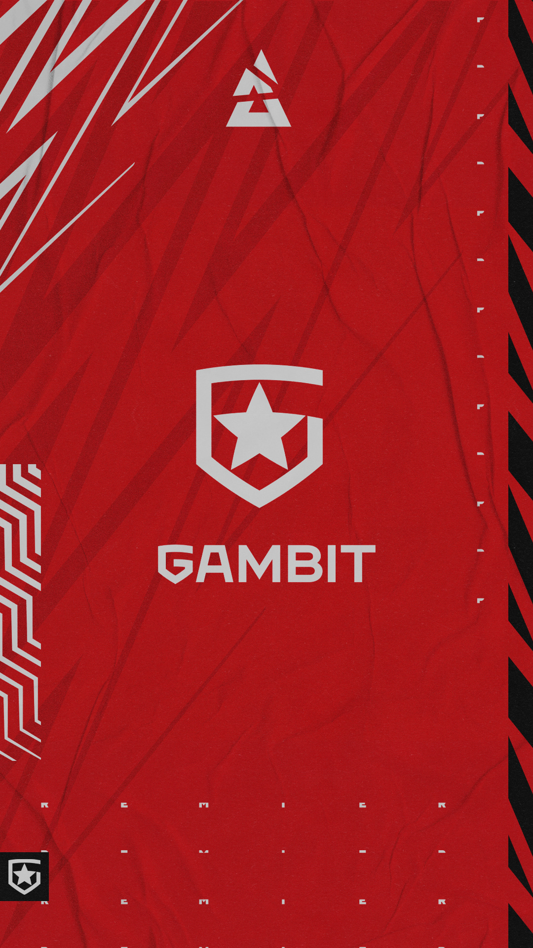 Gambit Esports Graphics 2021 Full Package — Изображение №123 — Графика, Маркетинг на Dprofile