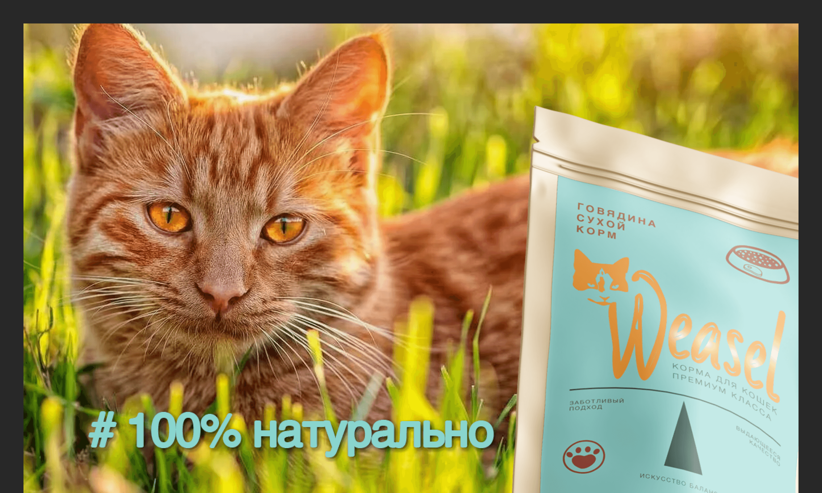 Weasel — это не просто корм для кошек — Изображение №4 — Брендинг на Dprofile