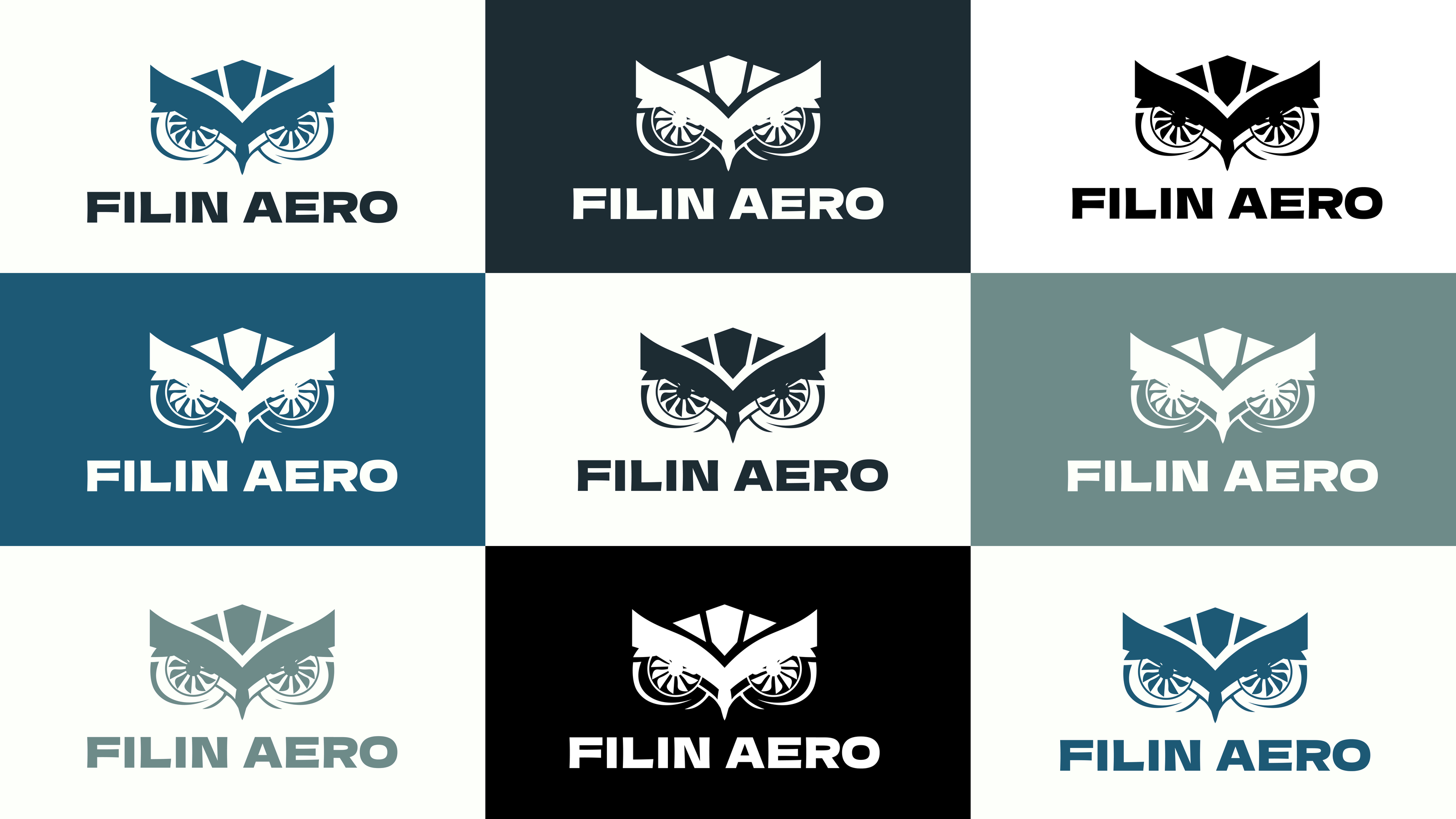 Filin Aero — Изображение №3 — Брендинг, Графика на Dprofile