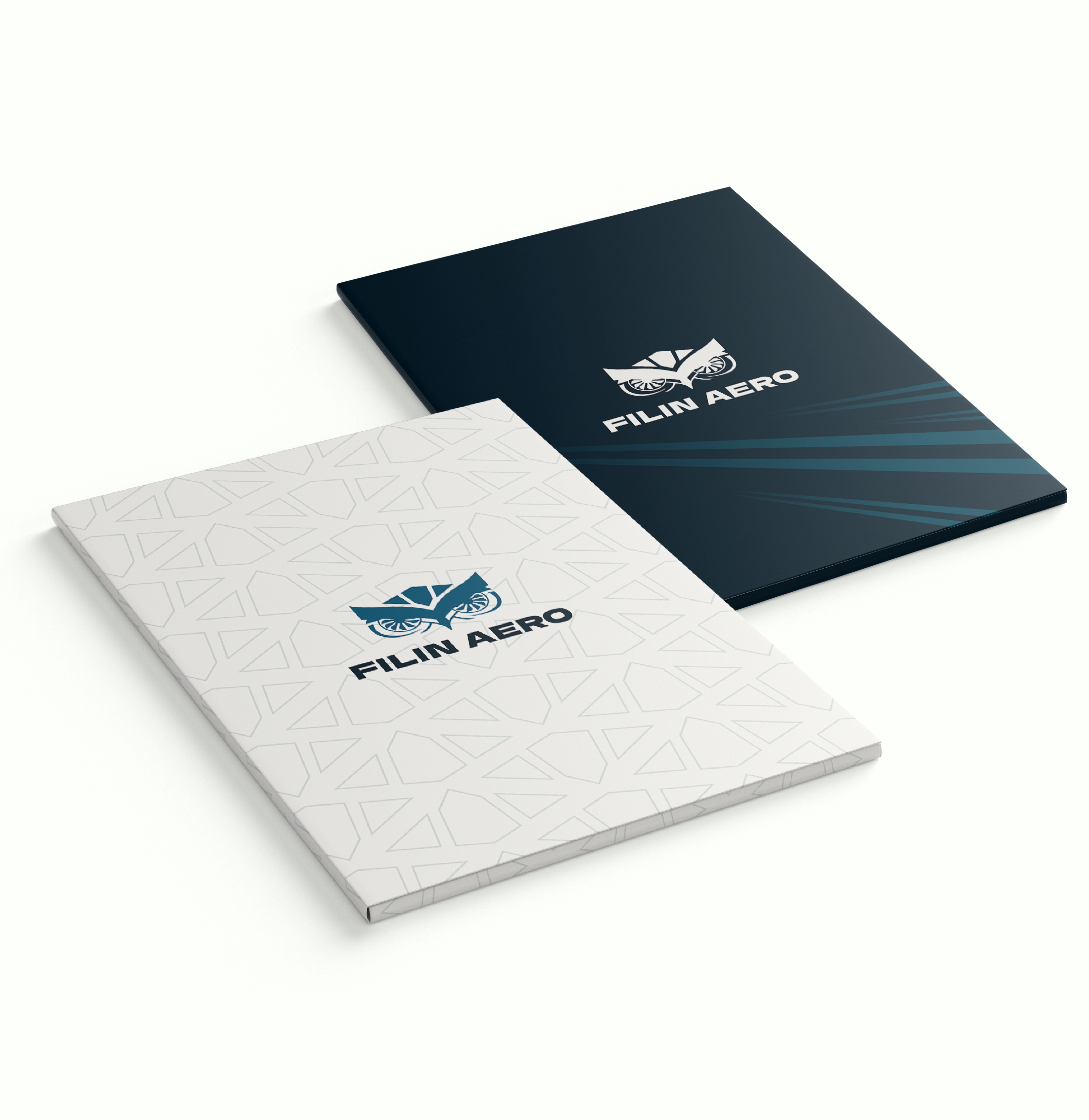 Filin Aero — Изображение №12 — Брендинг, Графика на Dprofile