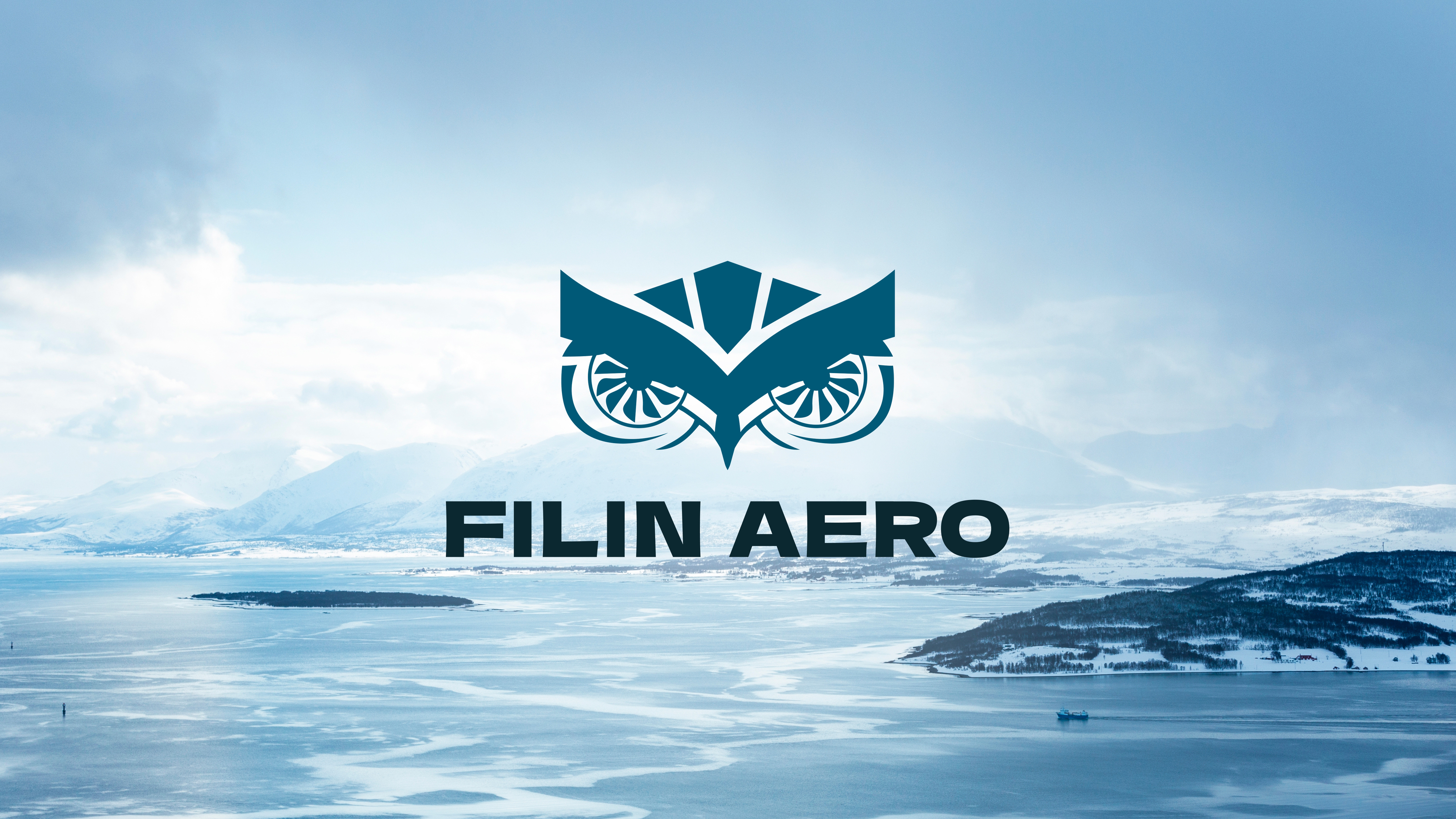 Filin Aero — Изображение №1 — Брендинг, Графика на Dprofile