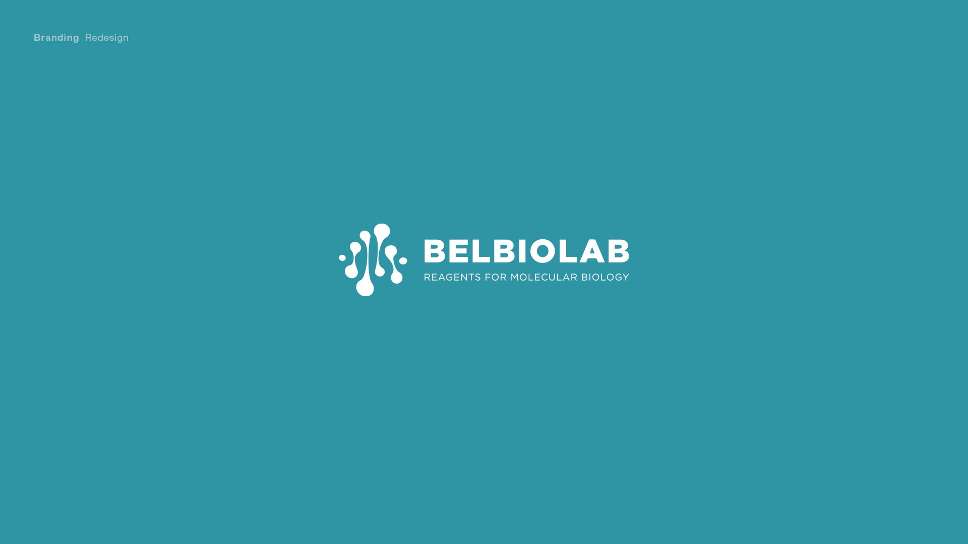 BELBIOLAB identity — Изображение №1 — Интерфейсы, Брендинг на Dprofile