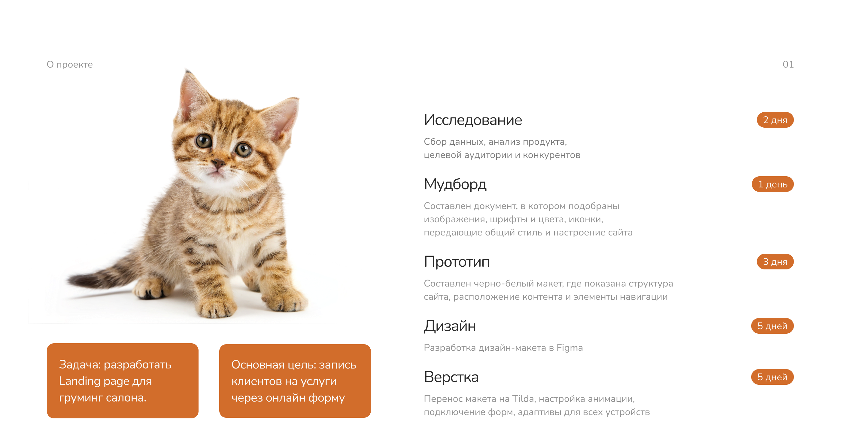 Landing page груминг салон | Лендинг | UX/UI — Изображение №2 — Интерфейсы на Dprofile