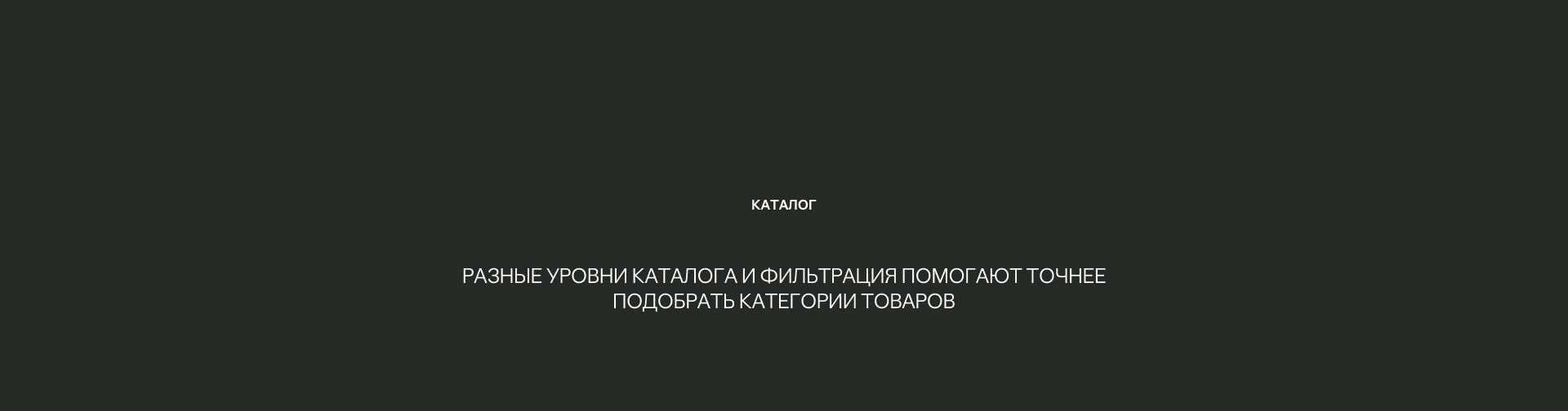 BORISOGLEBSK | E-COMMERCE — Изображение №13 — Маркетинг, Интерфейсы на Dprofile