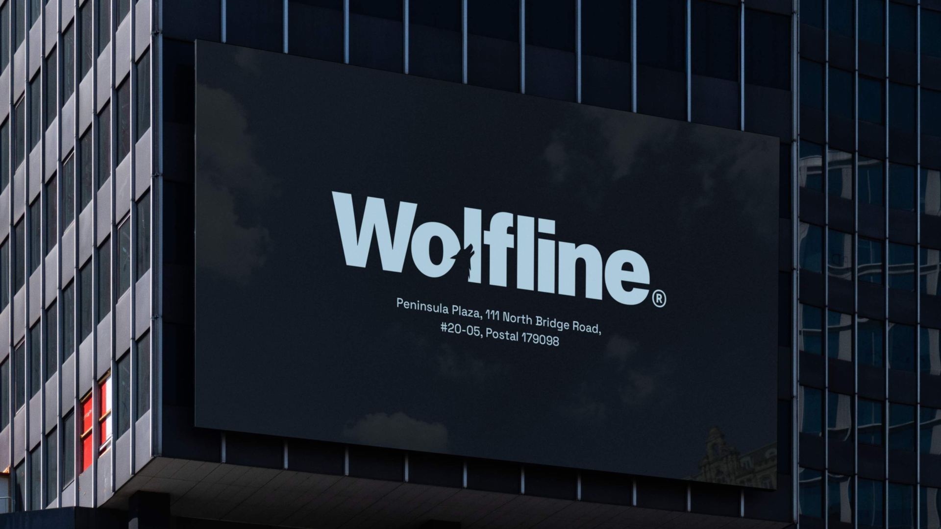 Wolfline Capital® — Изображение №6 — Интерфейсы, Брендинг на Dprofile