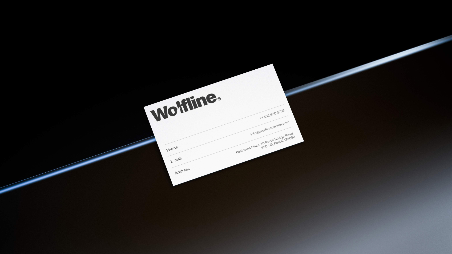 Wolfline Capital® — Изображение №26 — Интерфейсы, Брендинг на Dprofile