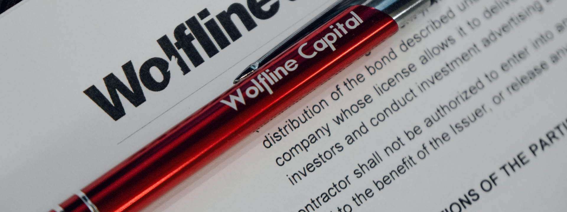 Wolfline Capital® — Изображение №12 — Интерфейсы, Брендинг на Dprofile