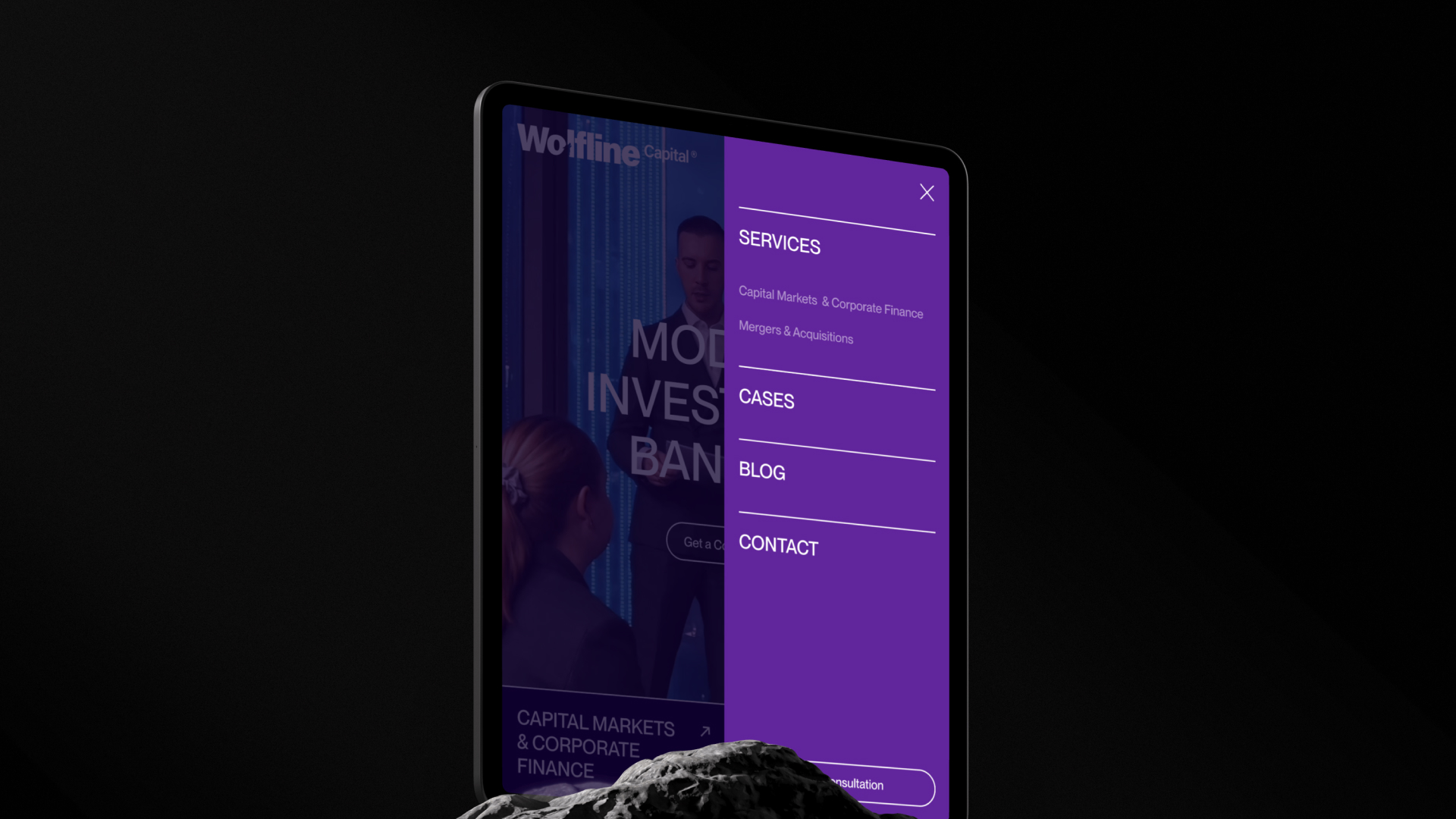 Wolfline Capital® — Изображение №8 — Интерфейсы, Брендинг на Dprofile