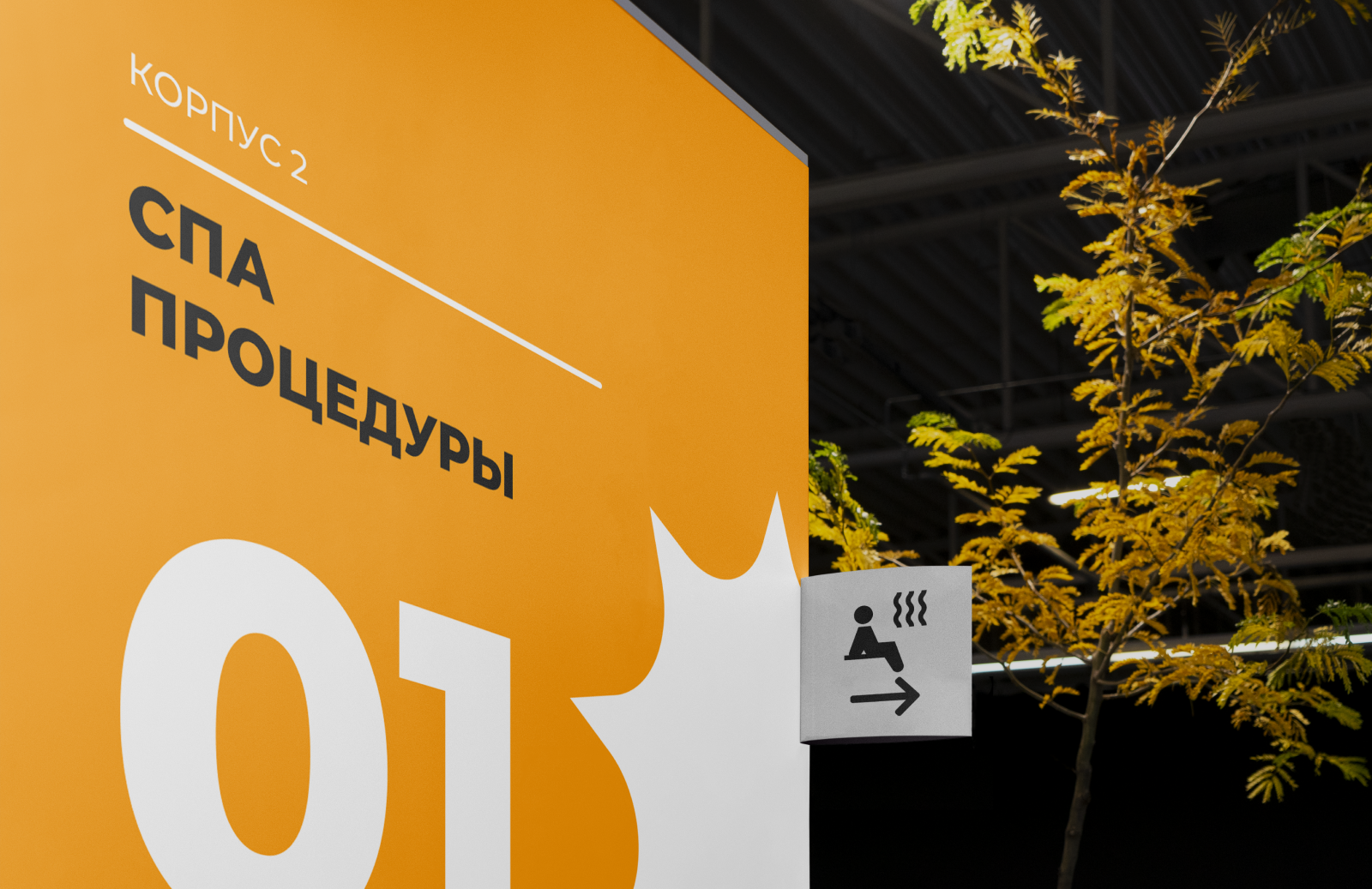 Концепция брендинга для оздоровительного центра — Изображение №7 — Брендинг, Графика на Dprofile