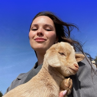 Аватар пользователя Марина Суворова