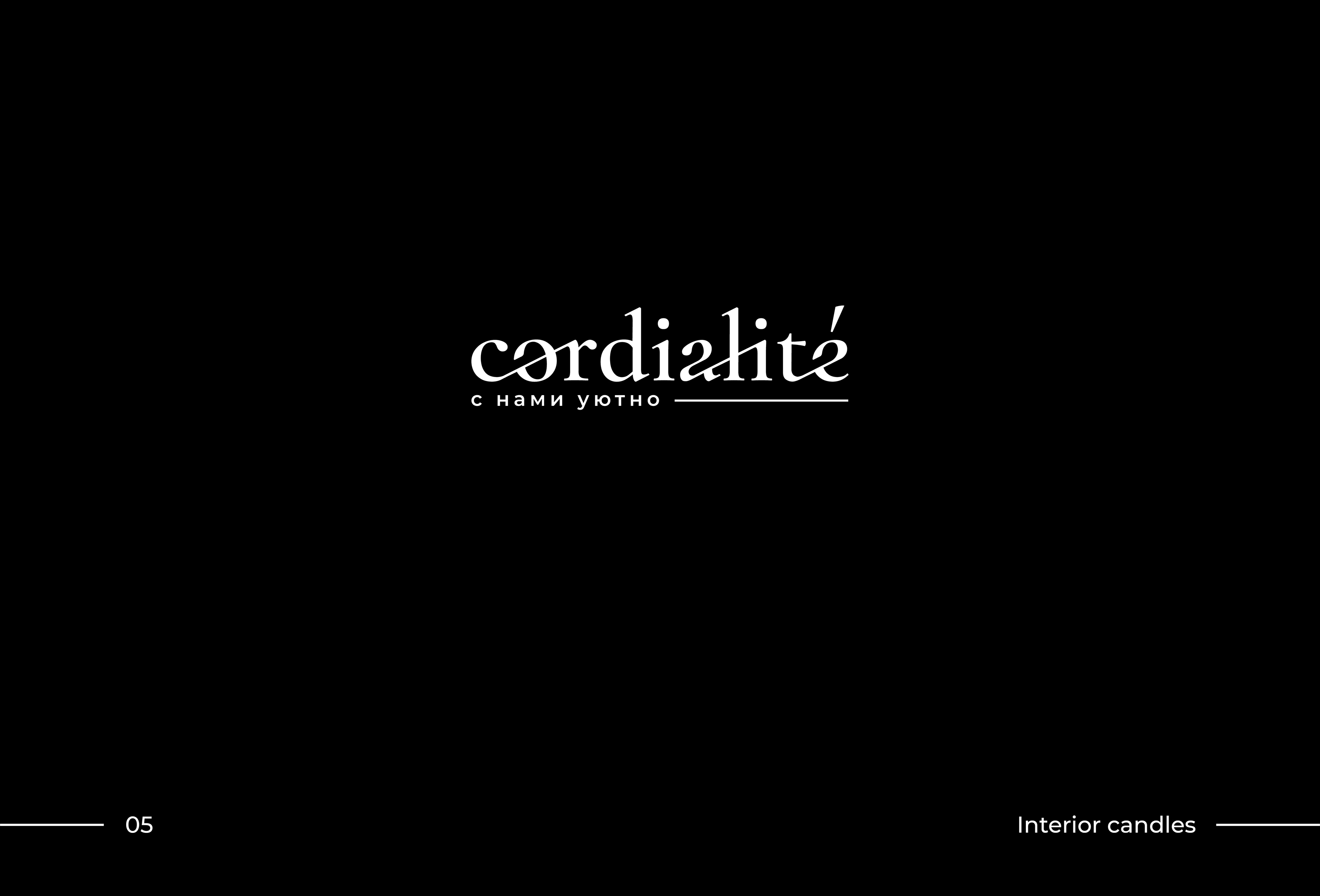 LOGOFOLIO 2021 — Изображение №6 — Брендинг на Dprofile