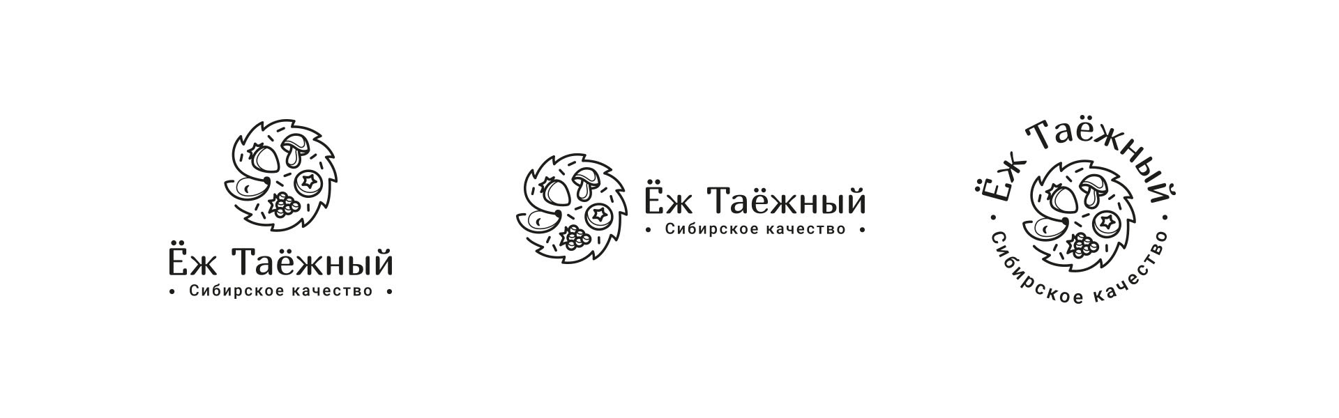 Логотип для полезных сладостей «Ёж таёжный» — Изображение №8 — Брендинг на Dprofile