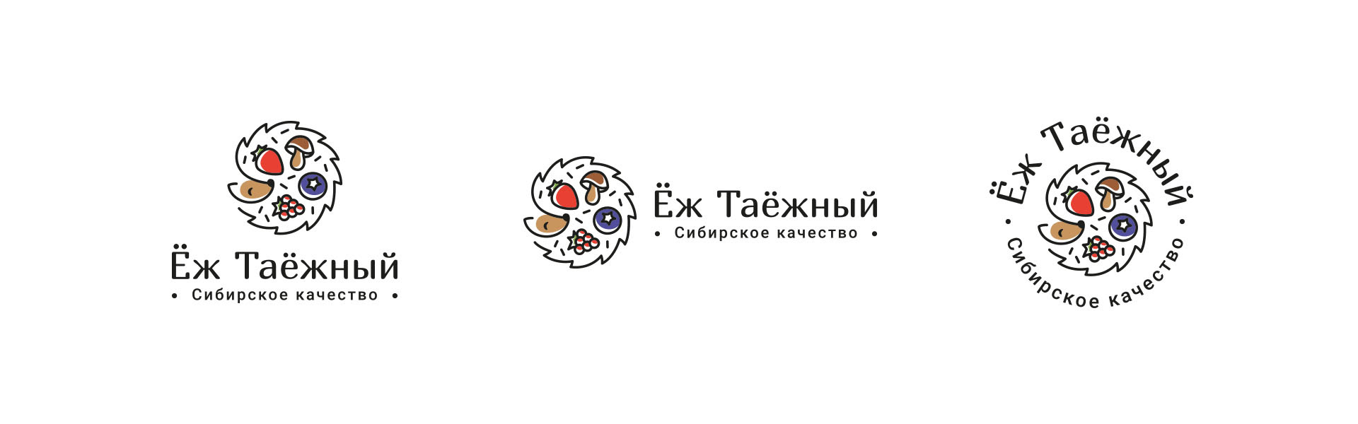 Логотип для полезных сладостей «Ёж таёжный» — Изображение №6 — Брендинг на Dprofile