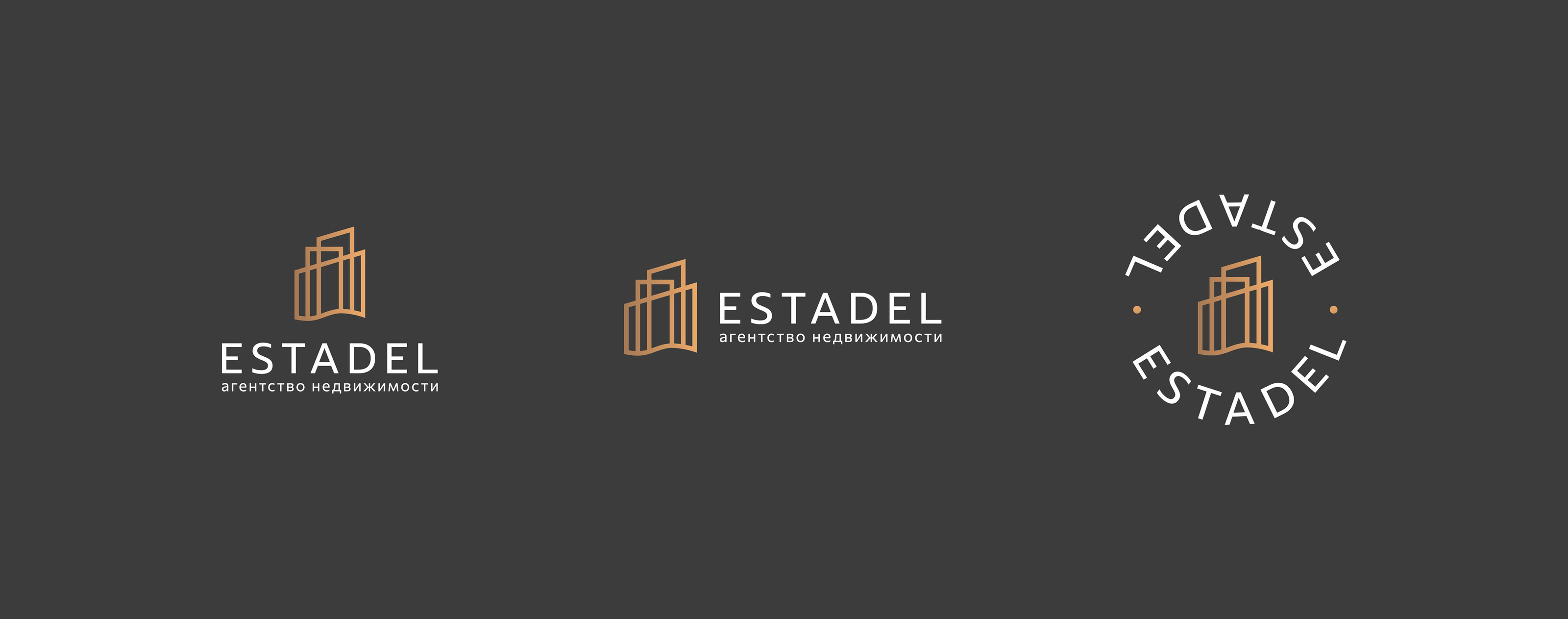 Логотип для агентства недвижимости «Estadel» — Изображение №8 — Брендинг на Dprofile