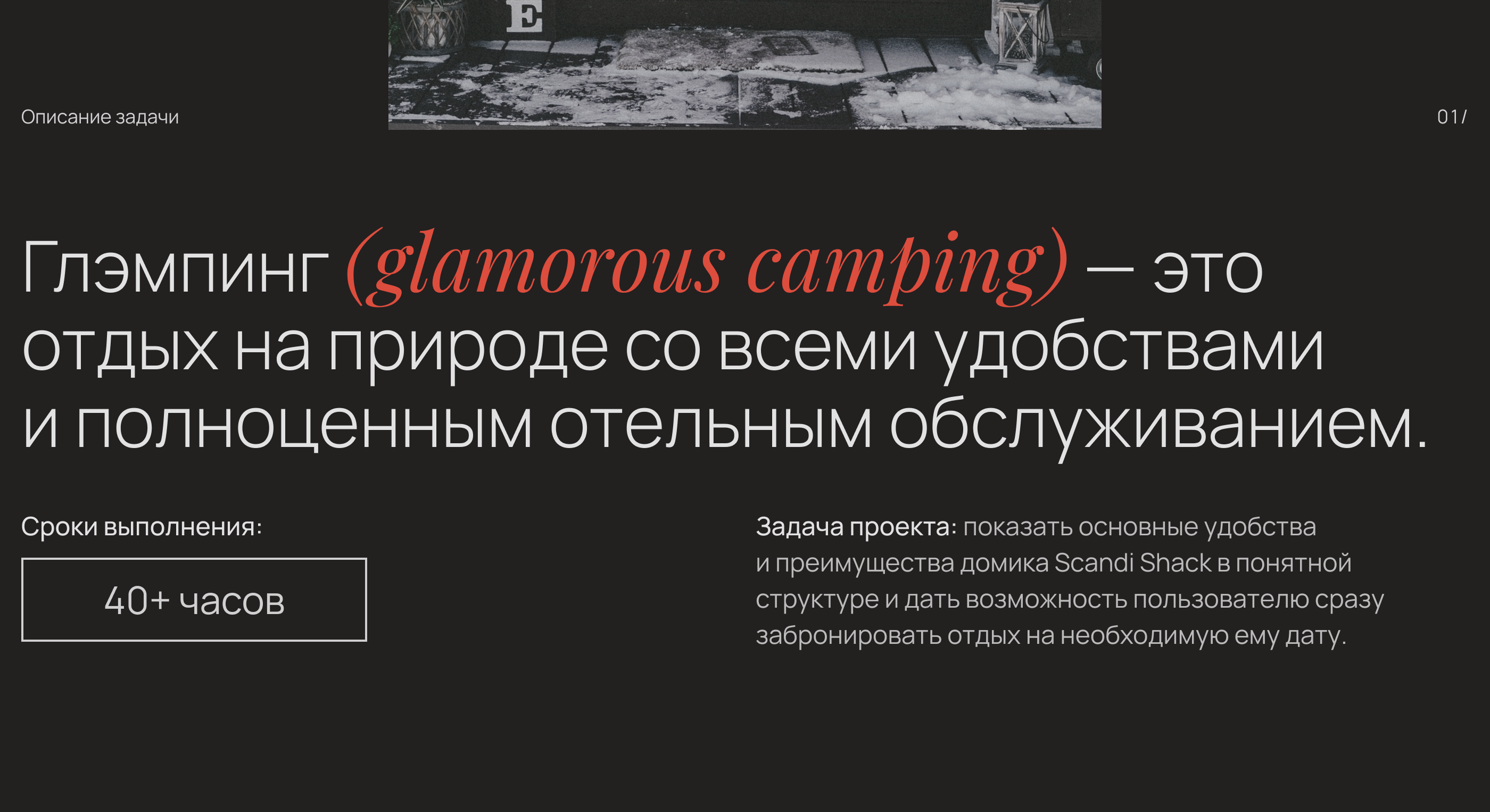 Scandi Shack Landing page — Изображение №2 — Интерфейсы, Графика на Dprofile