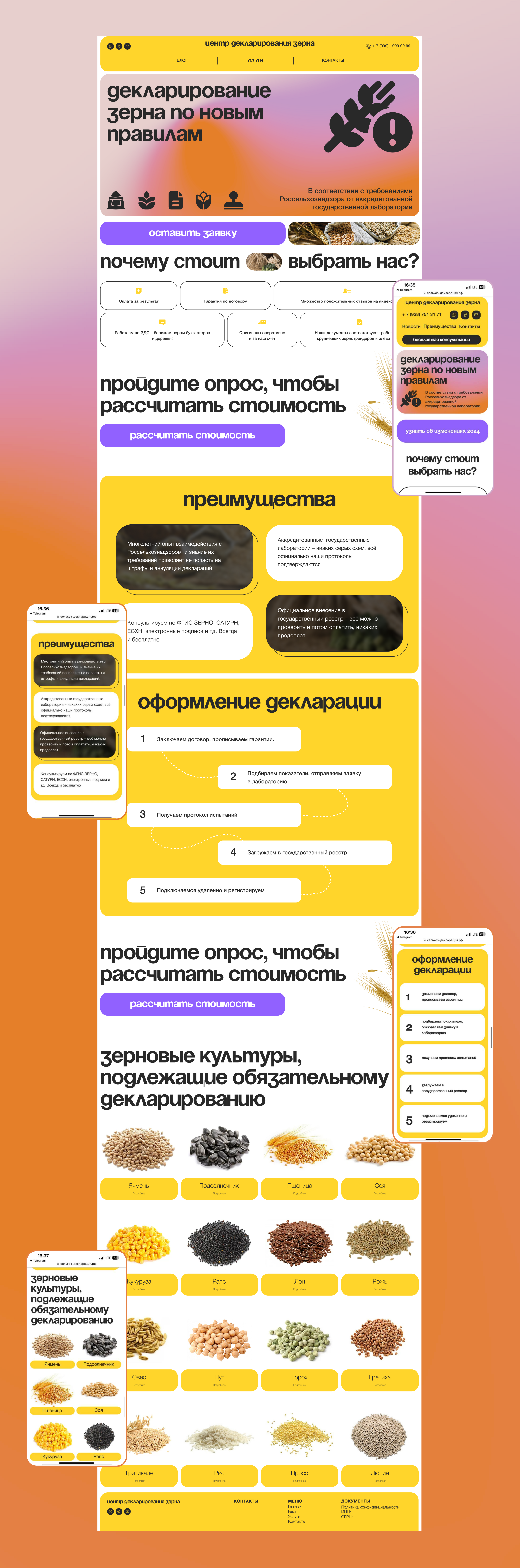 Лендинг для центра декларирования зерна — Изображение №2 — Интерфейсы, Маркетинг на Dprofile