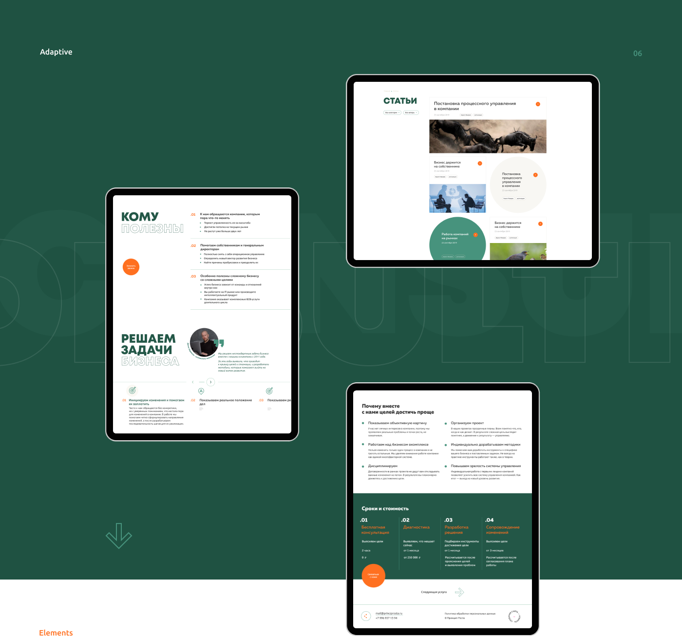 Consulting company — Изображение №7 — Интерфейсы, Анимация на Dprofile