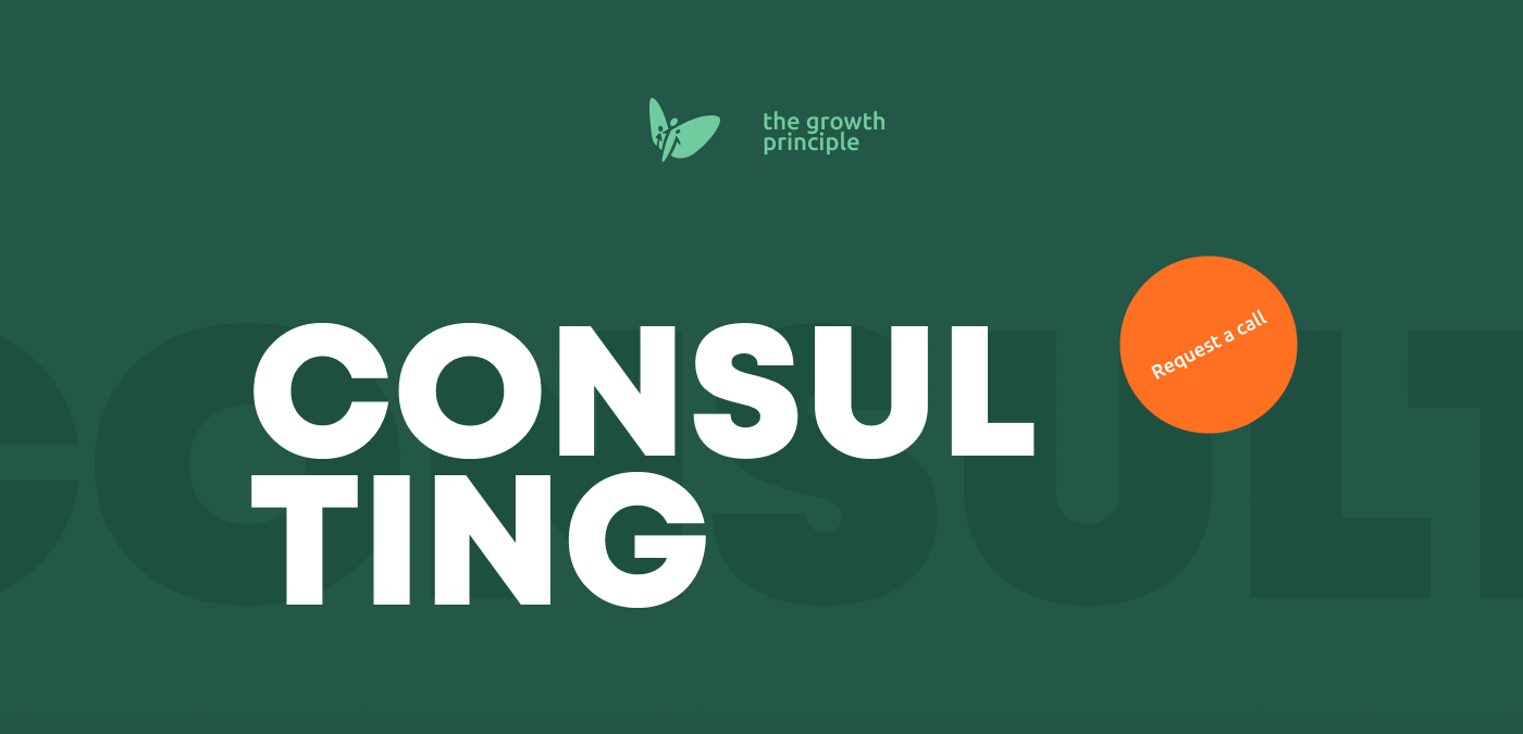 Consulting company — Изображение №1 — Интерфейсы, Анимация на Dprofile