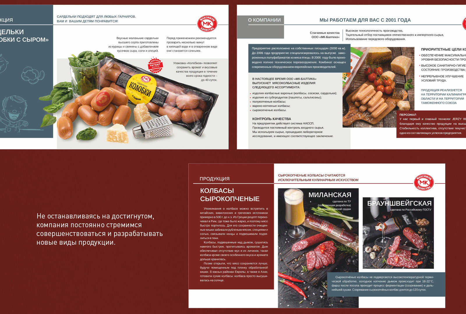 ПРЕЗЕНТАЦИЯ компании «МК-Балтика» — Изображение №2 — Графика, Маркетинг на Dprofile